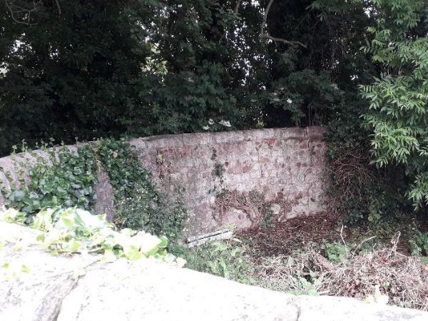 Pinfold wall with vegetation surrounding being restored.