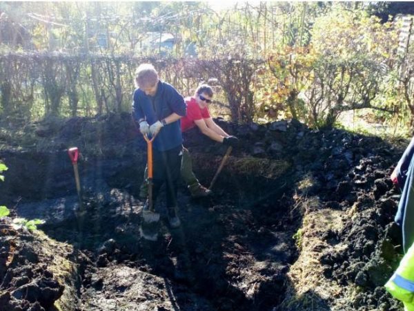 Two volunteers with shovels helping to dig out a pond which will be used to create a wildlife area