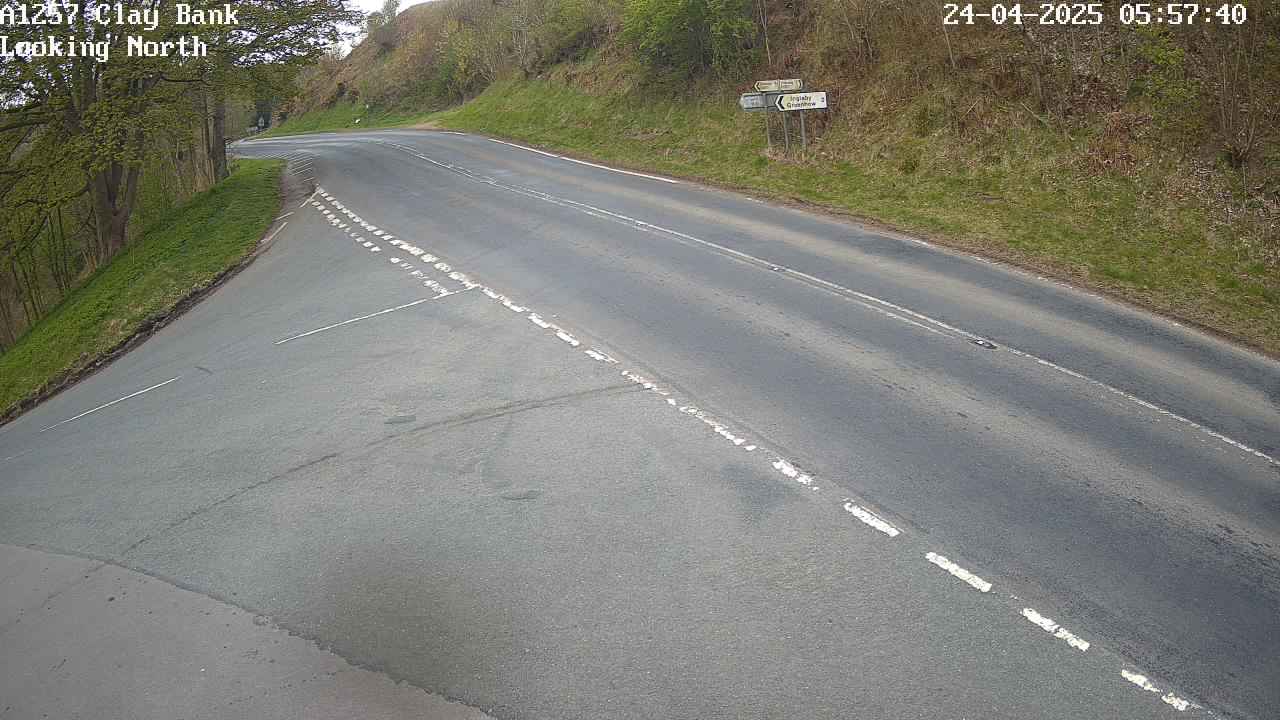 A169 BLUEBANK DOWNHILL