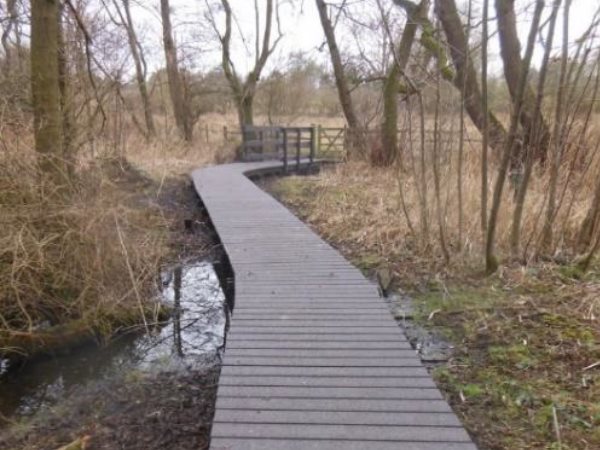 Long boardwalk elevated above mud and field to make it a drier walk