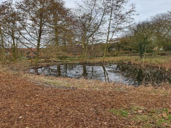 Autumnal picture with leaves on field surrounding pond.