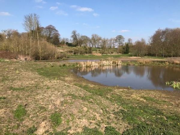 large pond surrounded by grass and beautiful tree line.