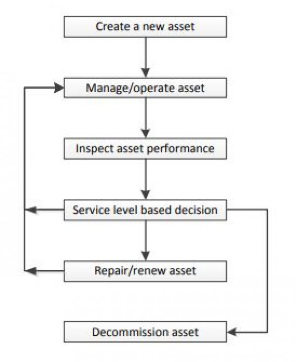A diagram showing the life of an asset. 