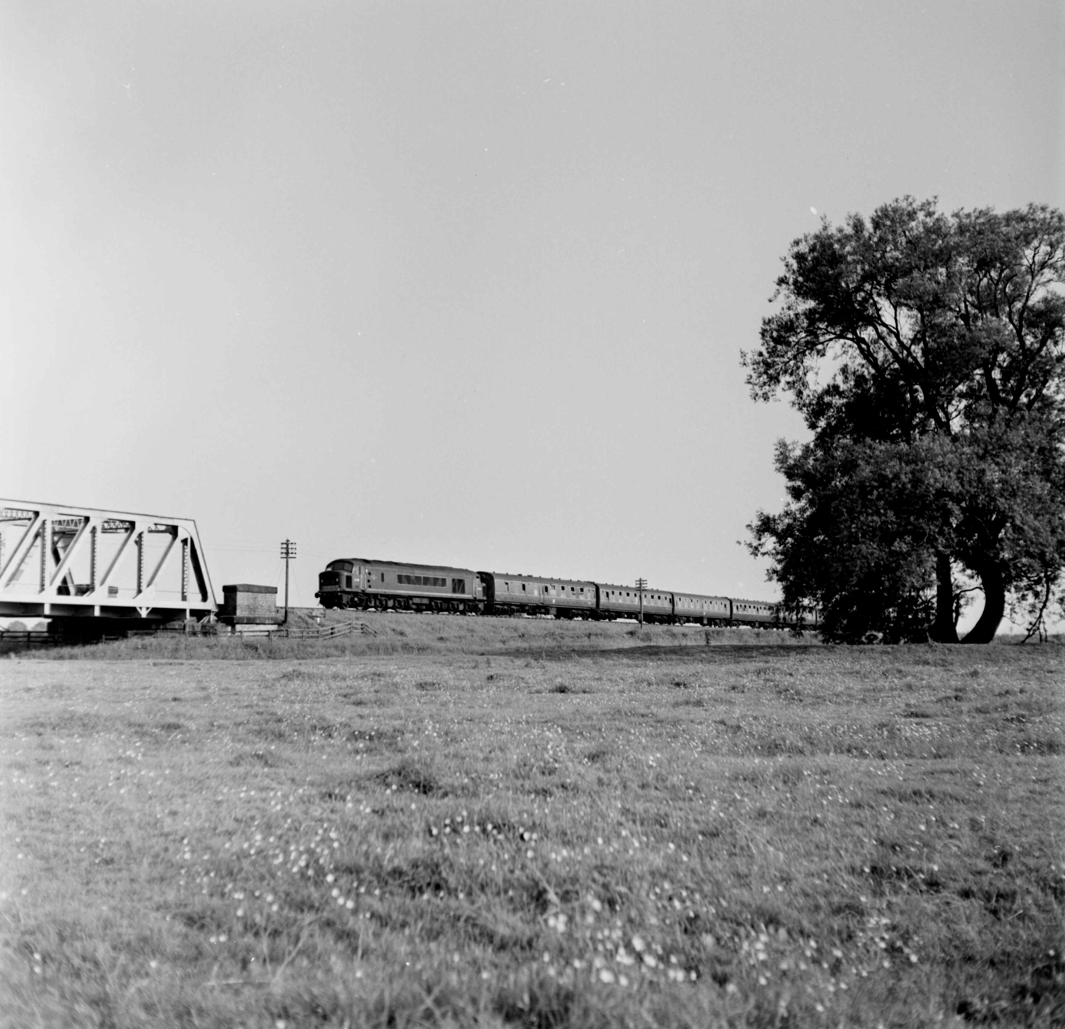 A diesel train