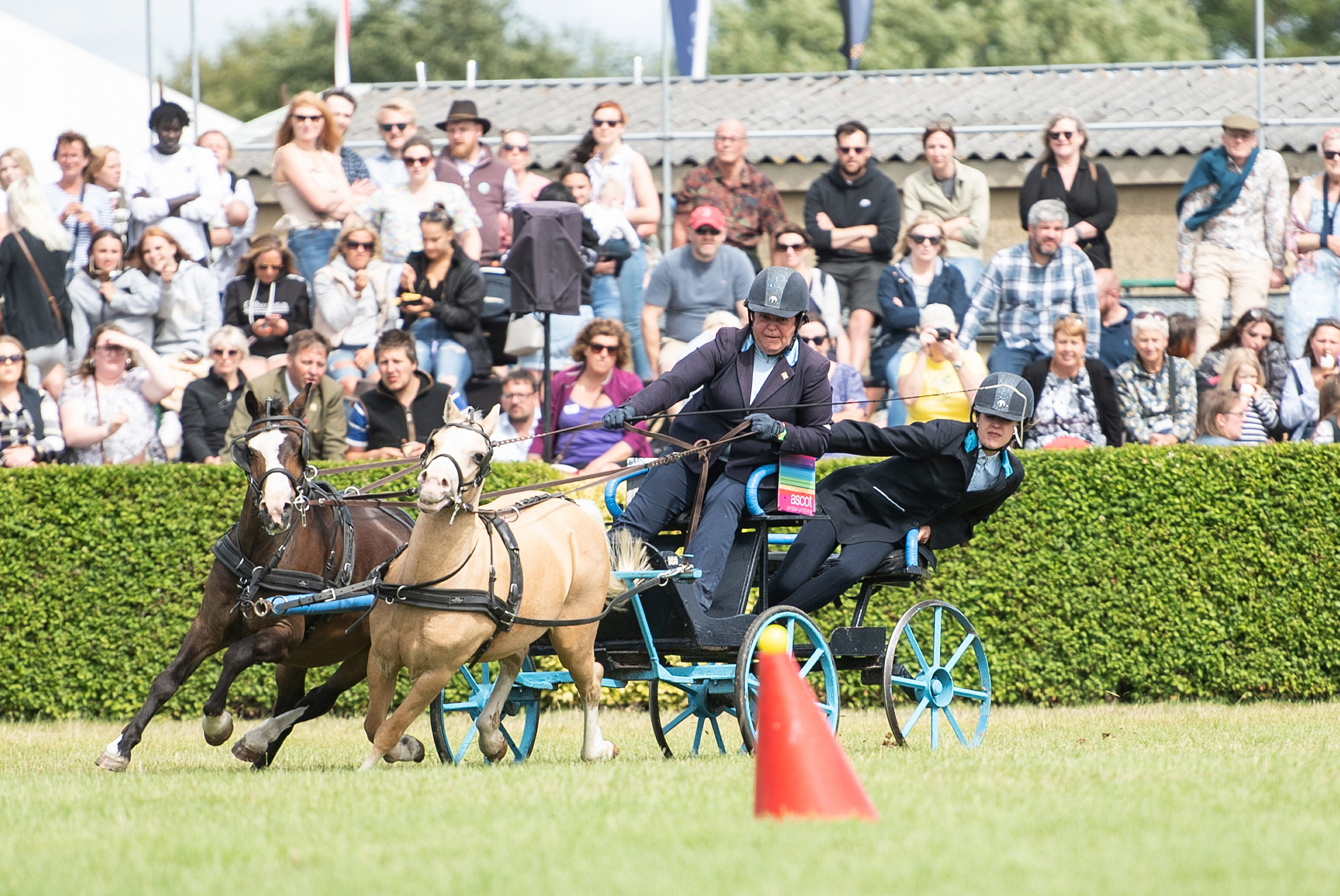 A horse and carriage 