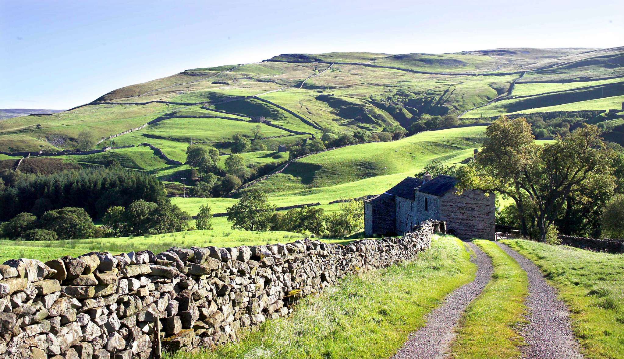 A Yorkshire Dales landscape with a farm track in the foreground.