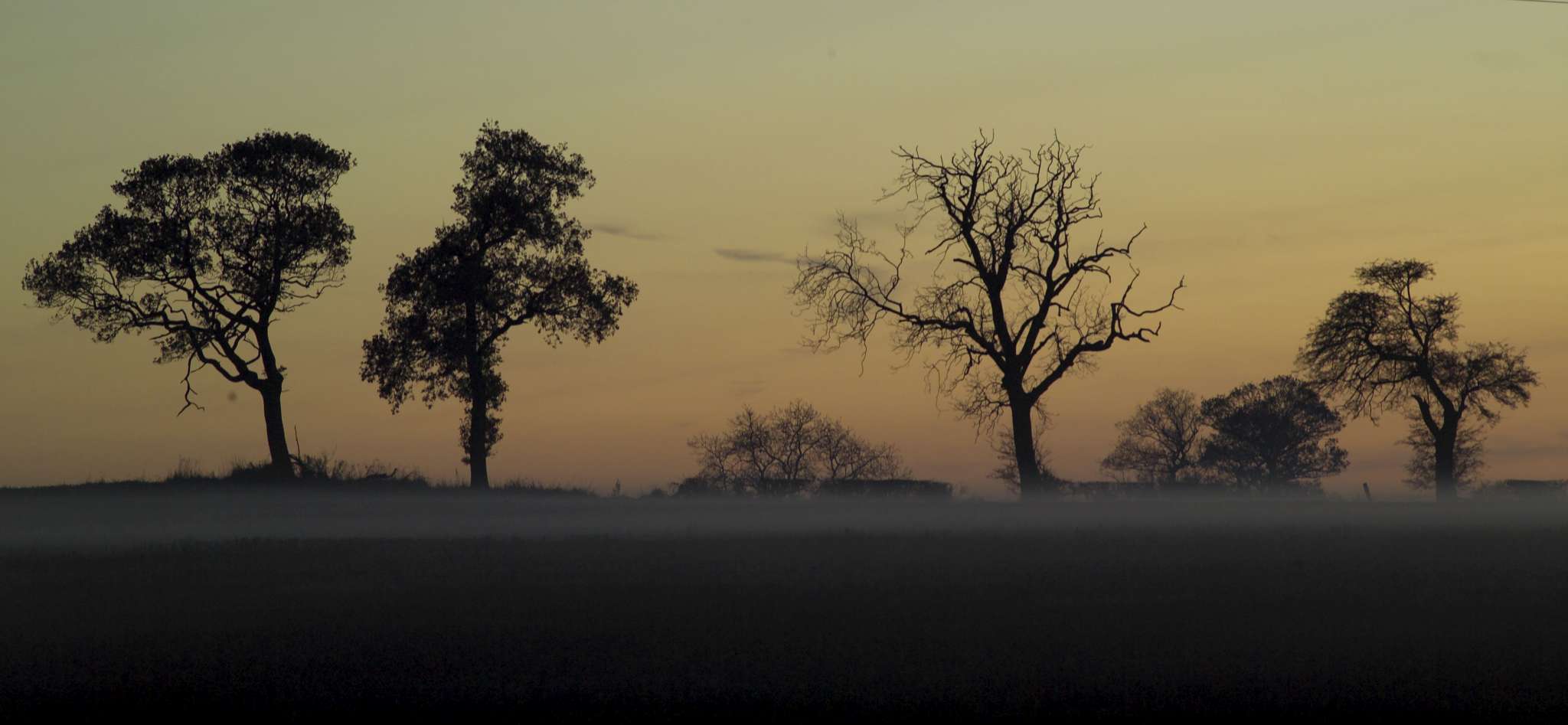 A hazy landscape