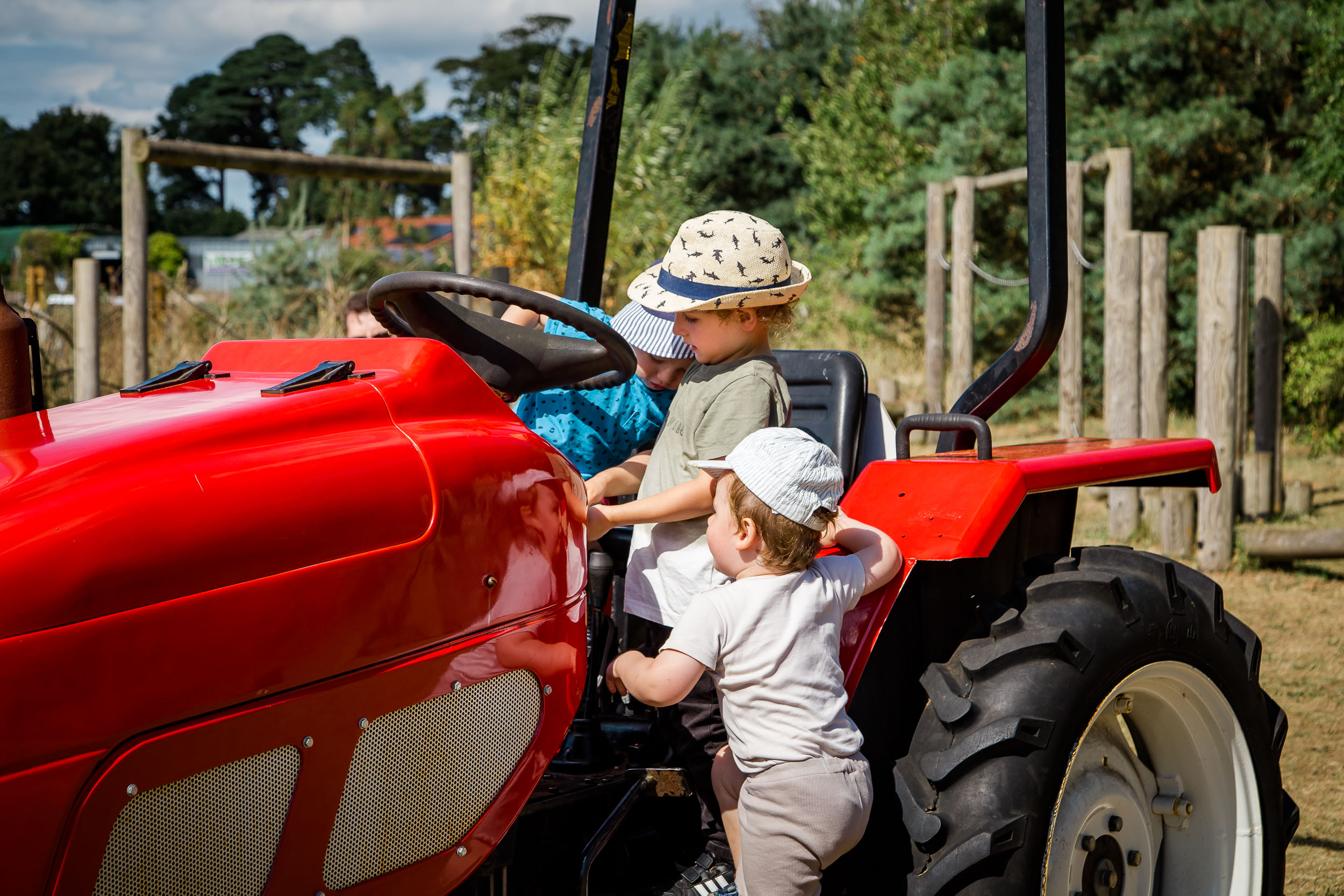 A child on a tractor at Woldie’s Lavender and Nature farm