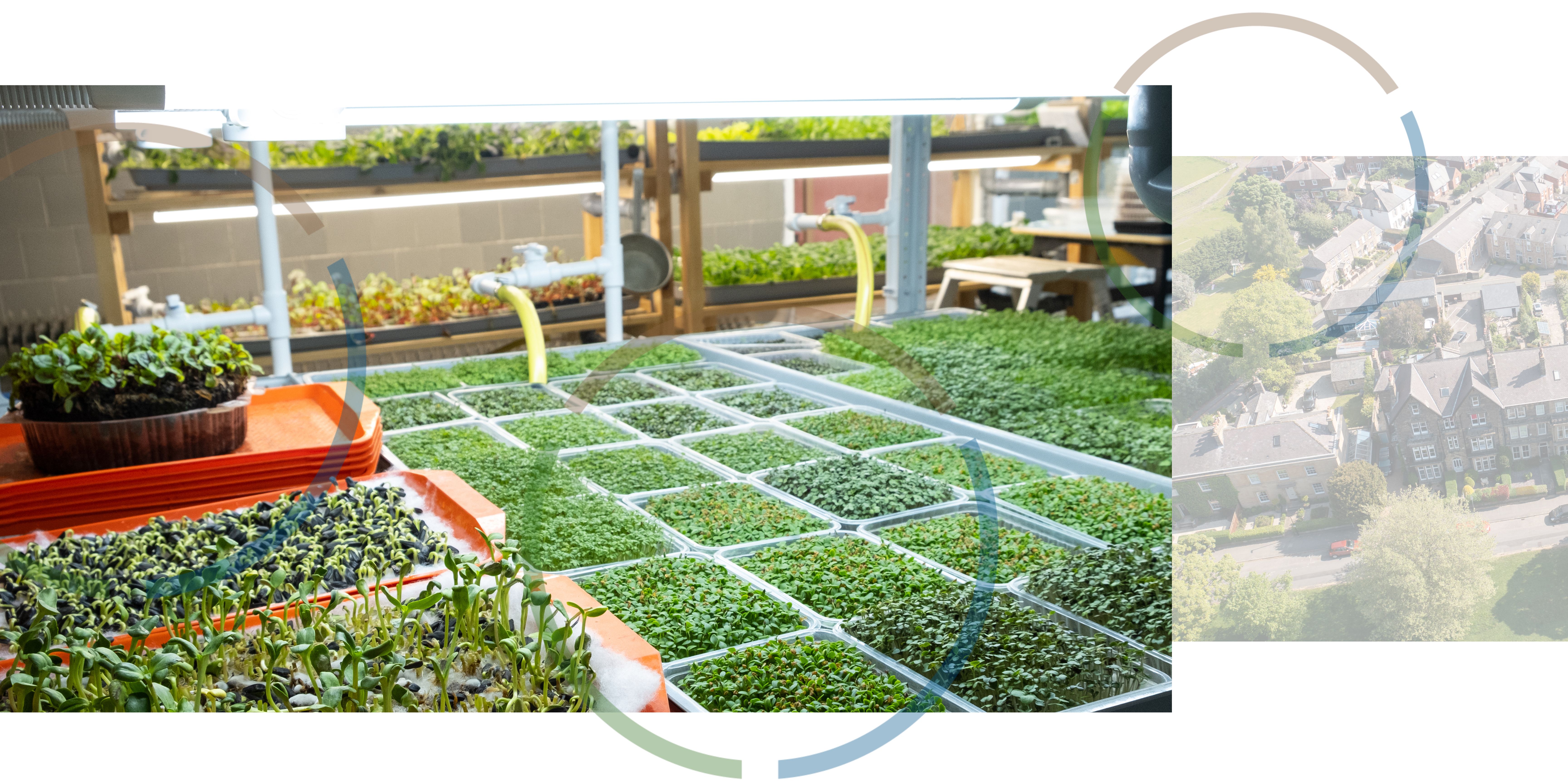 An image of microgreens growing in an aquaponics system next to an aerial view of houses in North Yorkshire.