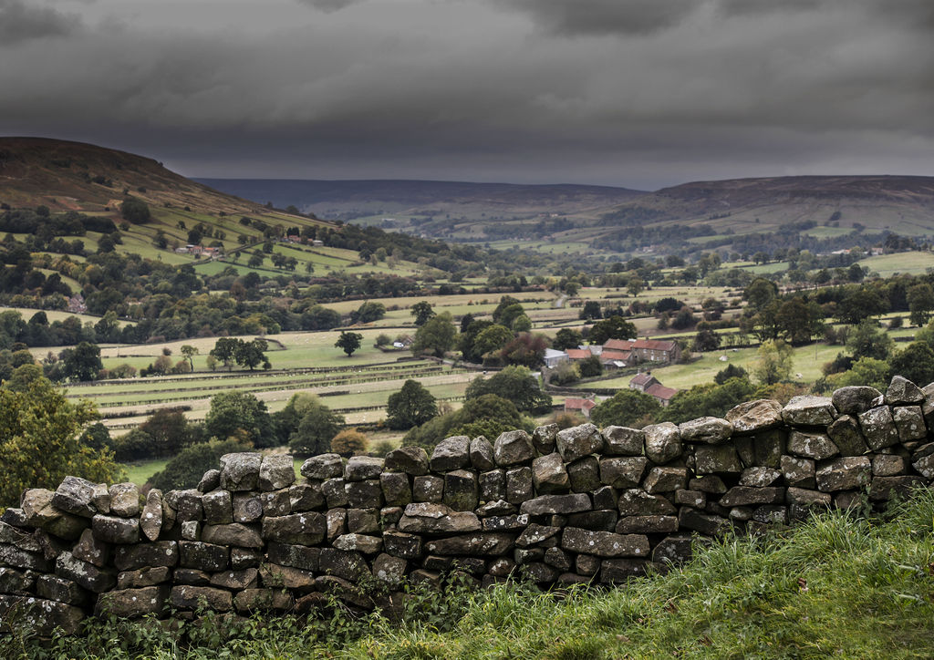 A view of Ryedale with stone wall and small group of houses