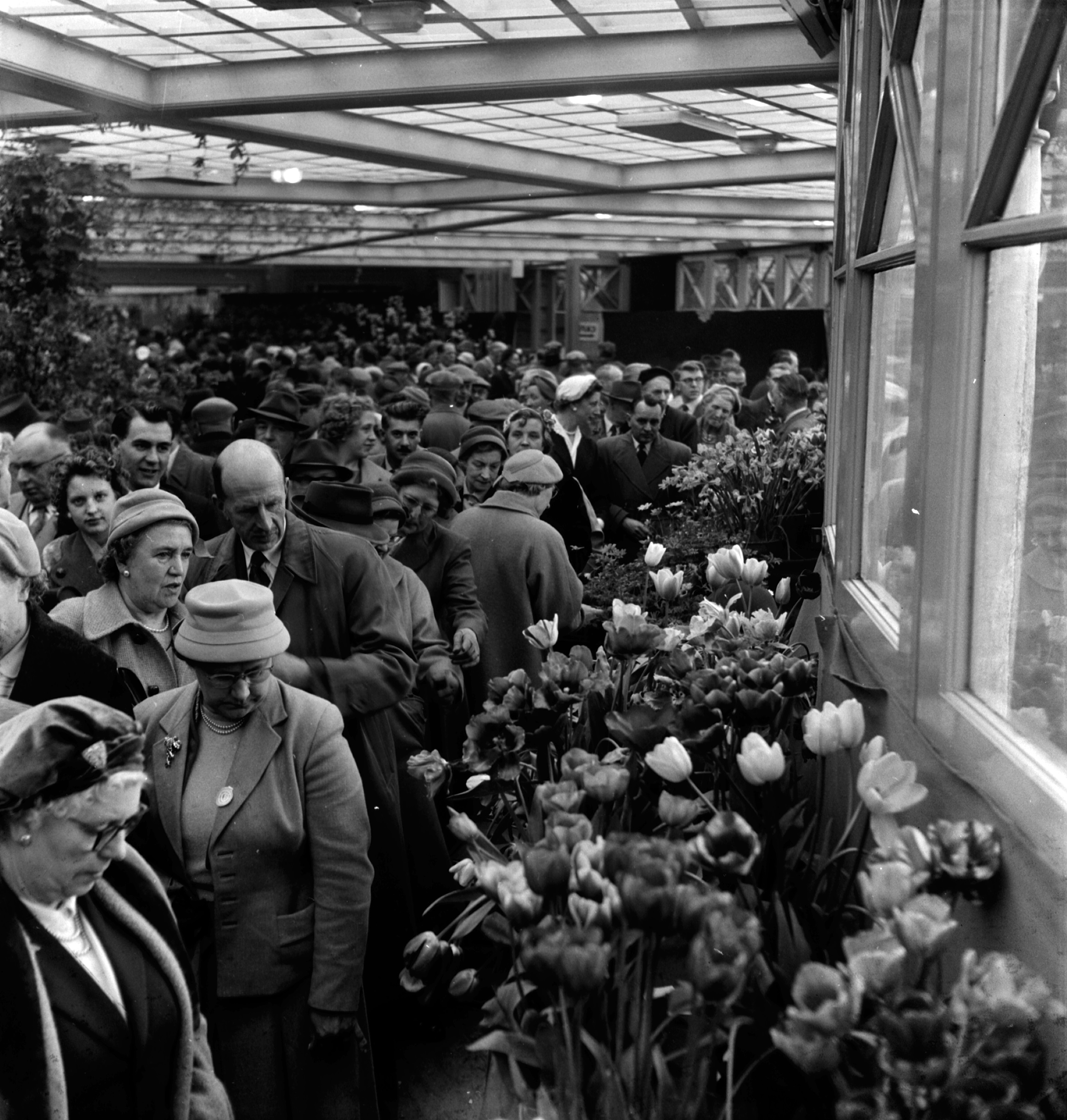 Crowds at the Harrogate Spring Flower Festival in Valley Gardens in 1958, from the Bertram Unné photographic collection.