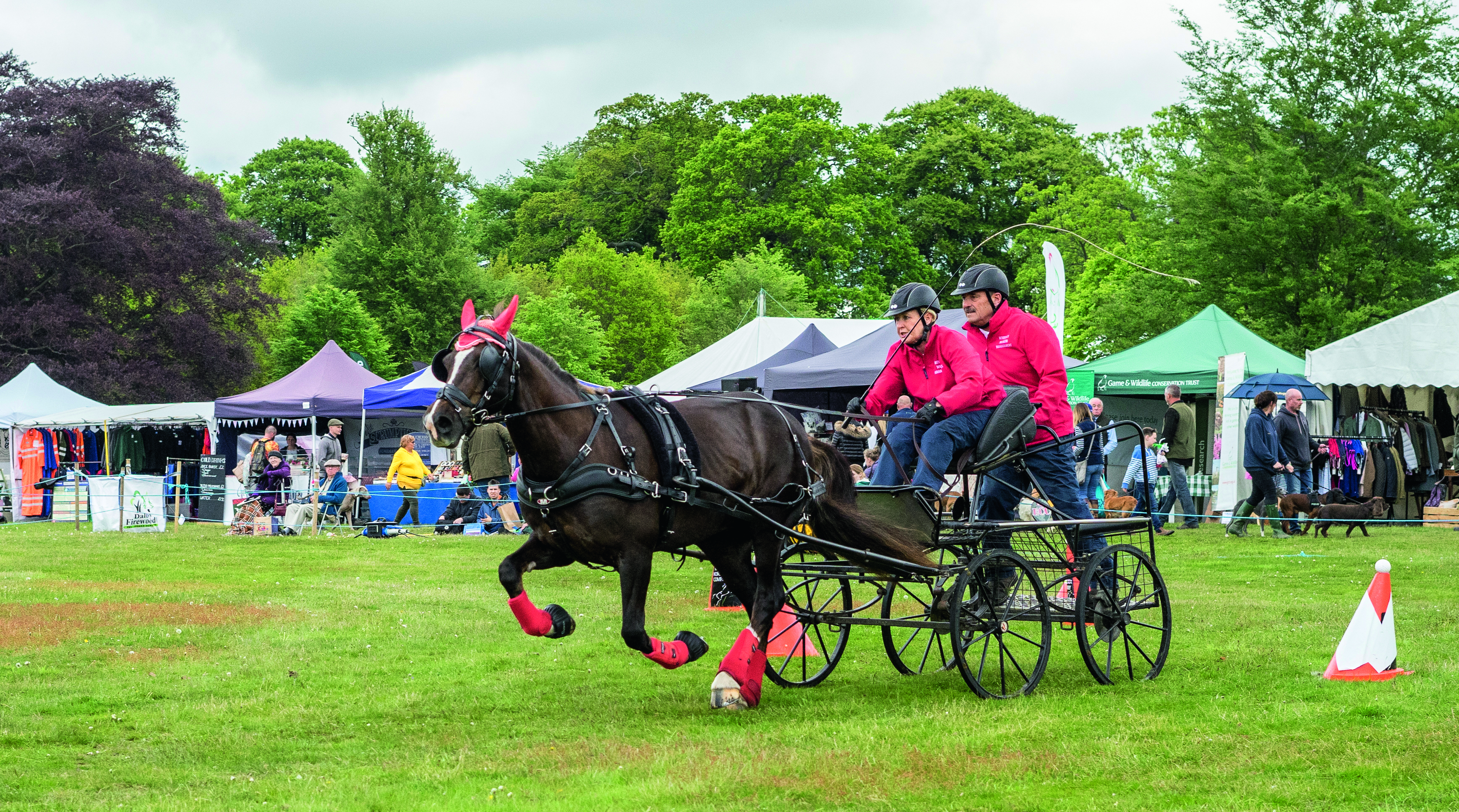 Horse and cart at Yorkshire Game and Country fair 