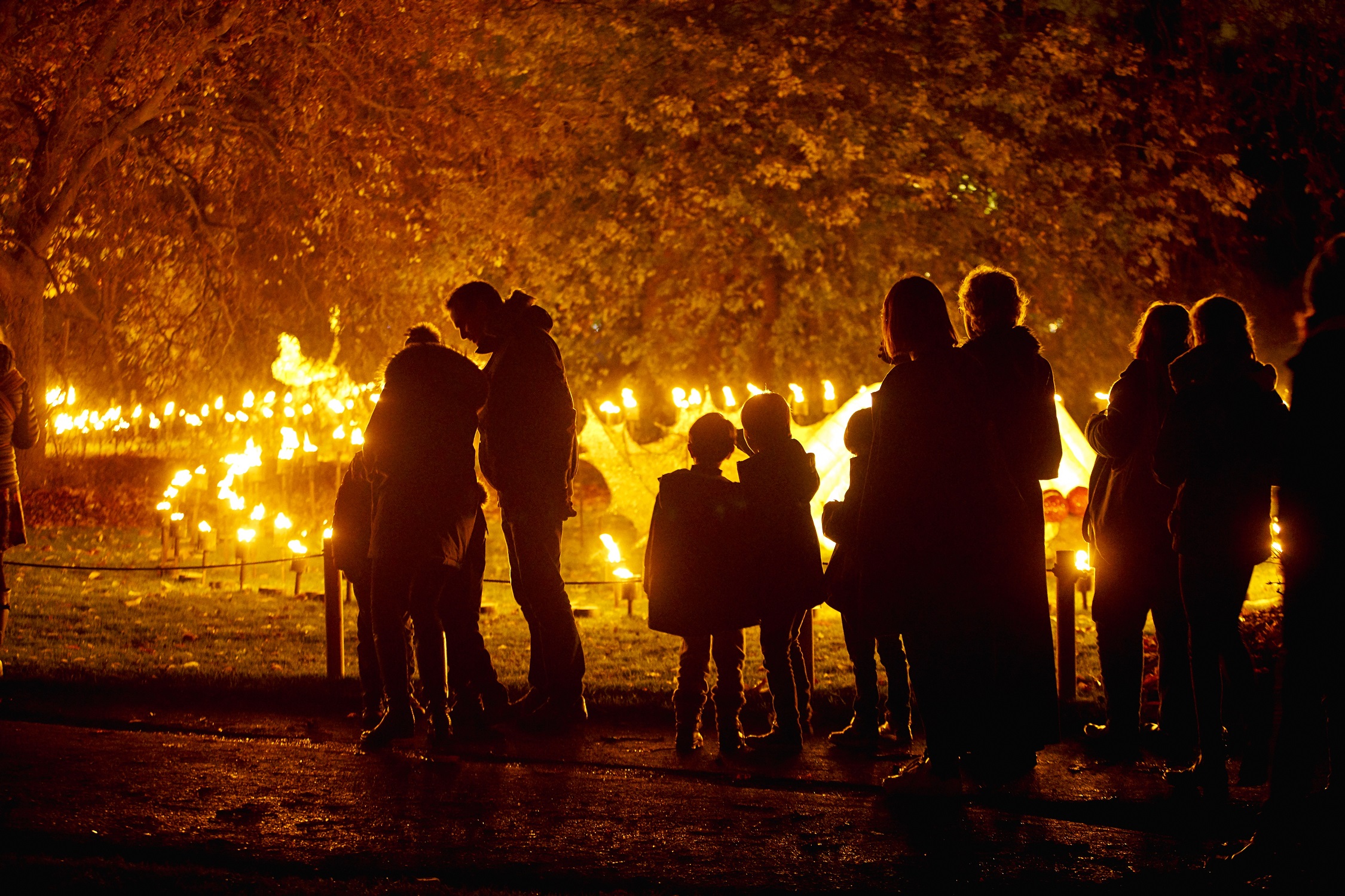  International artists for this year’s Scarborough Lights include Culture Creative. The leading arts company will be bringing a fire garden to South Cliff Gardens from December 18 to 22. (Pic credit: Sony Music.)