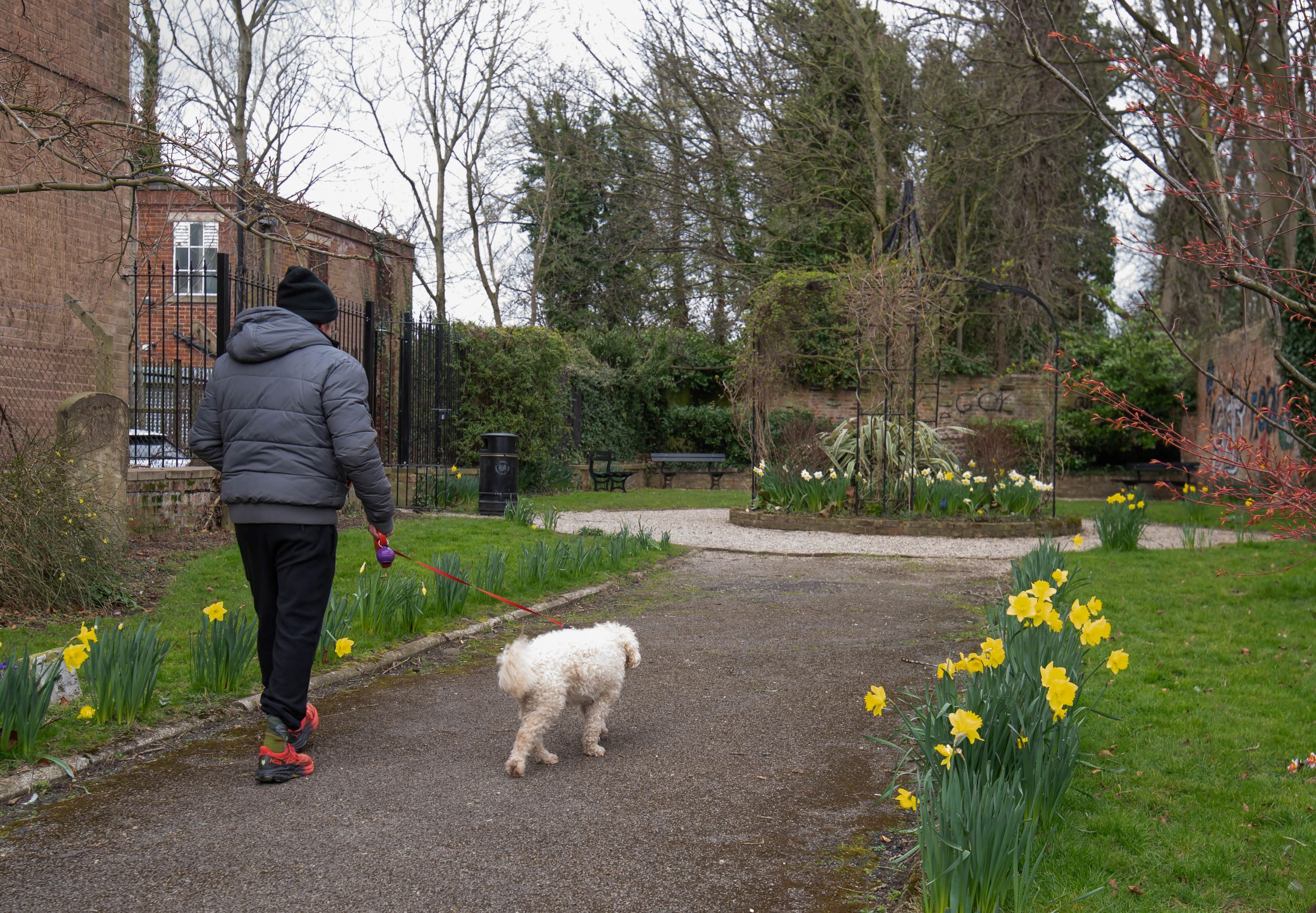 A dog walker passes through Temple Gardens in Ripon which has been overhauled thanks to a community partnership involving North Yorkshire Council.