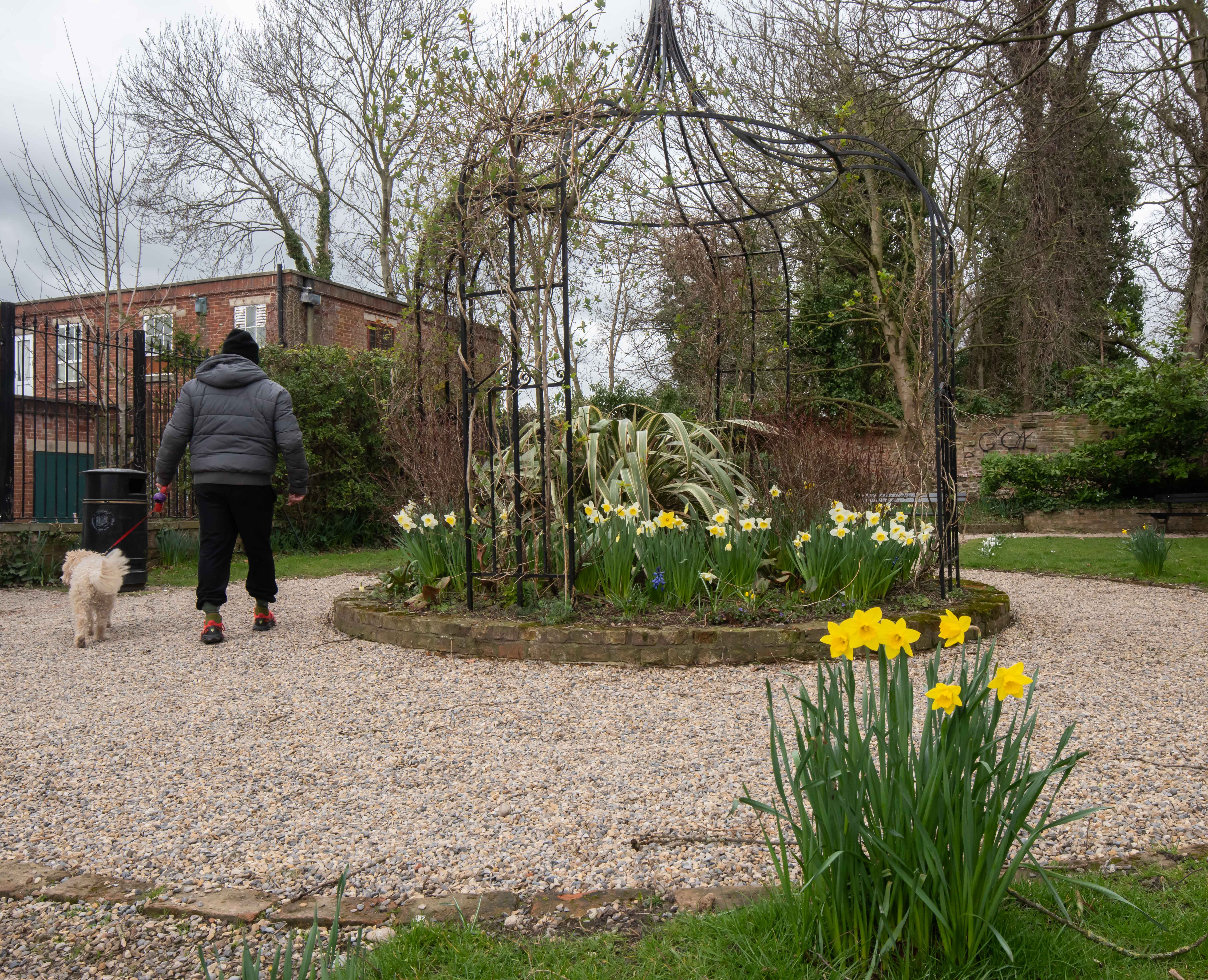 A dog walker passes through Temple Gardens in Ripon