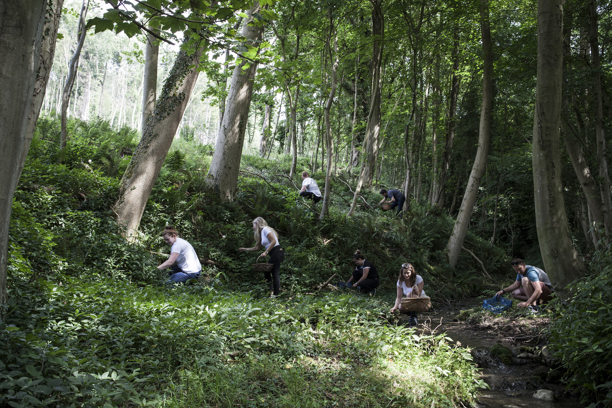 Group of people collecting ingredients in the kitchen garden