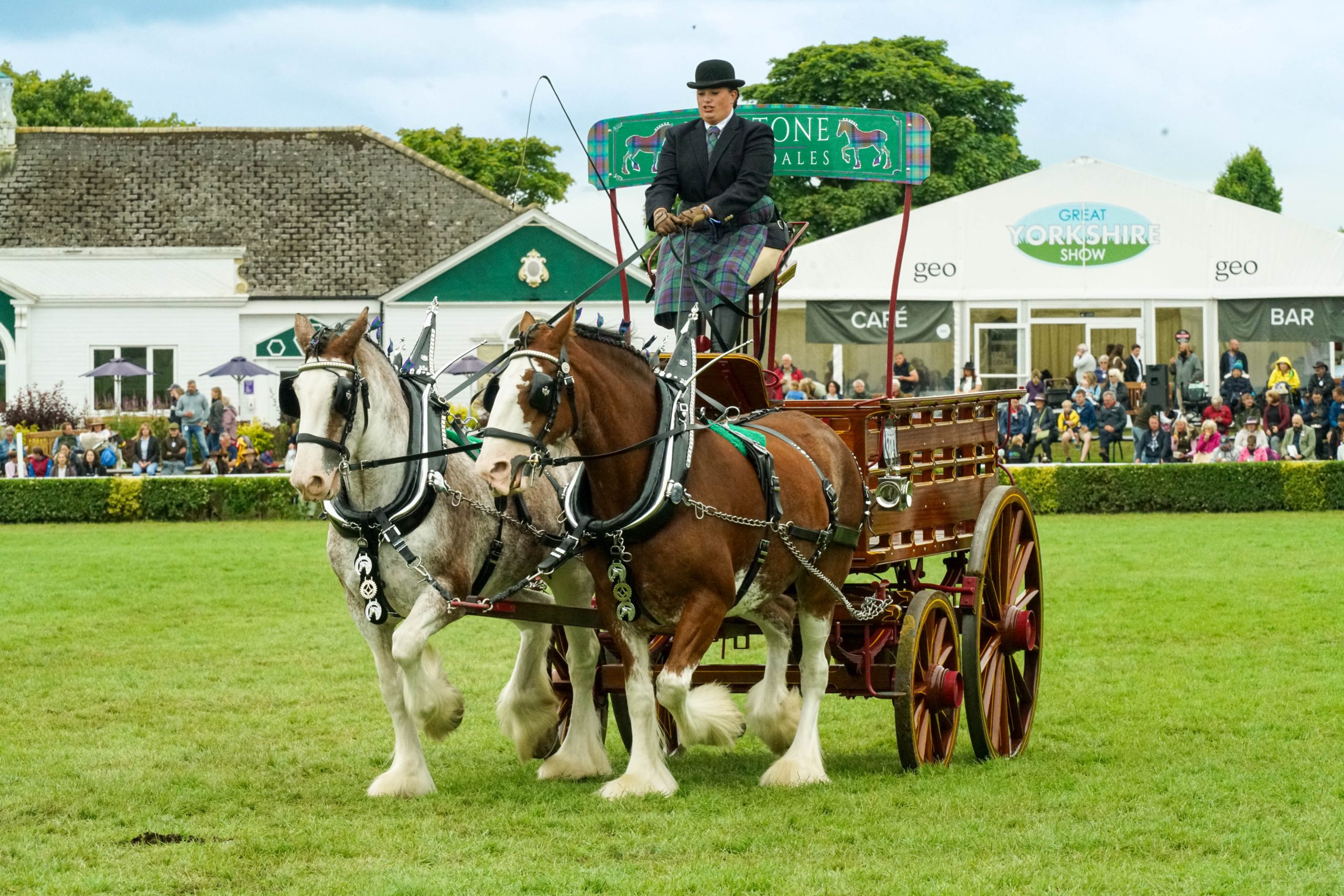 Heavy horses at the Great Yorkshire Show. Image kindly provided by the Yorkshire Agricultural Society