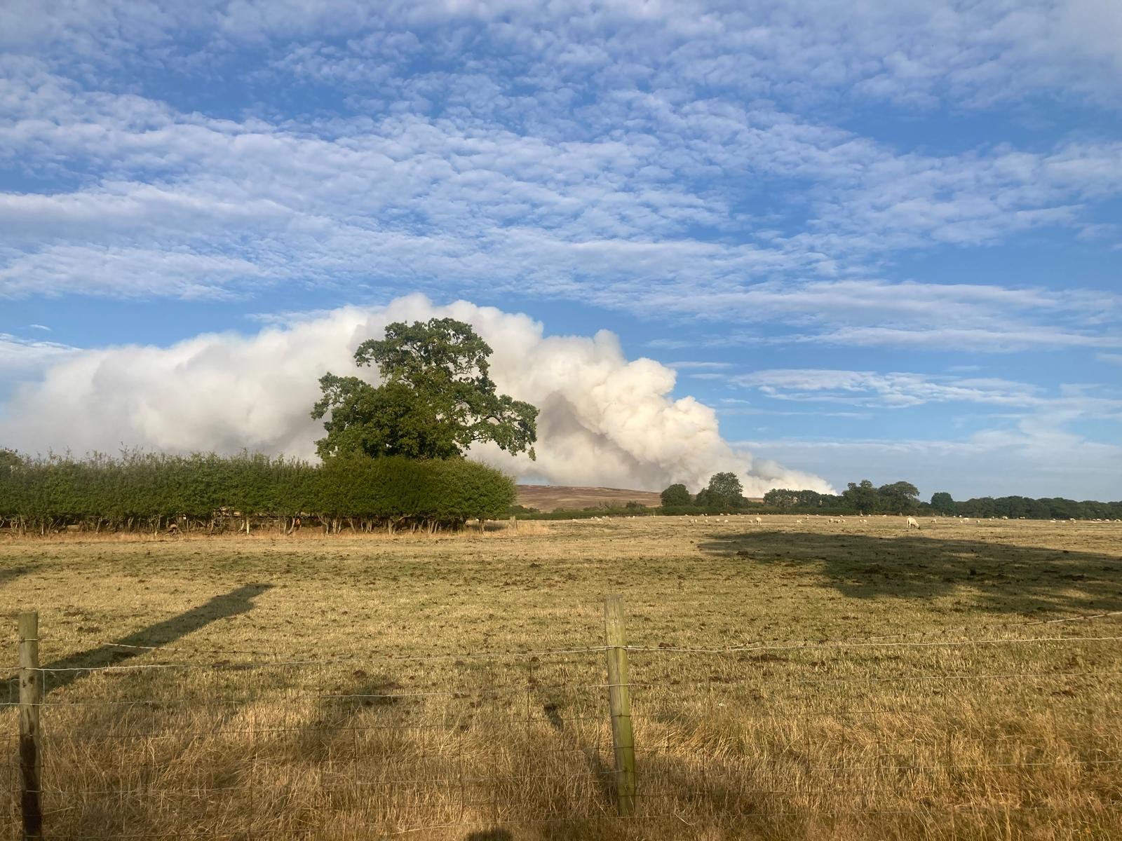 Smoke from Langdale area wildfire