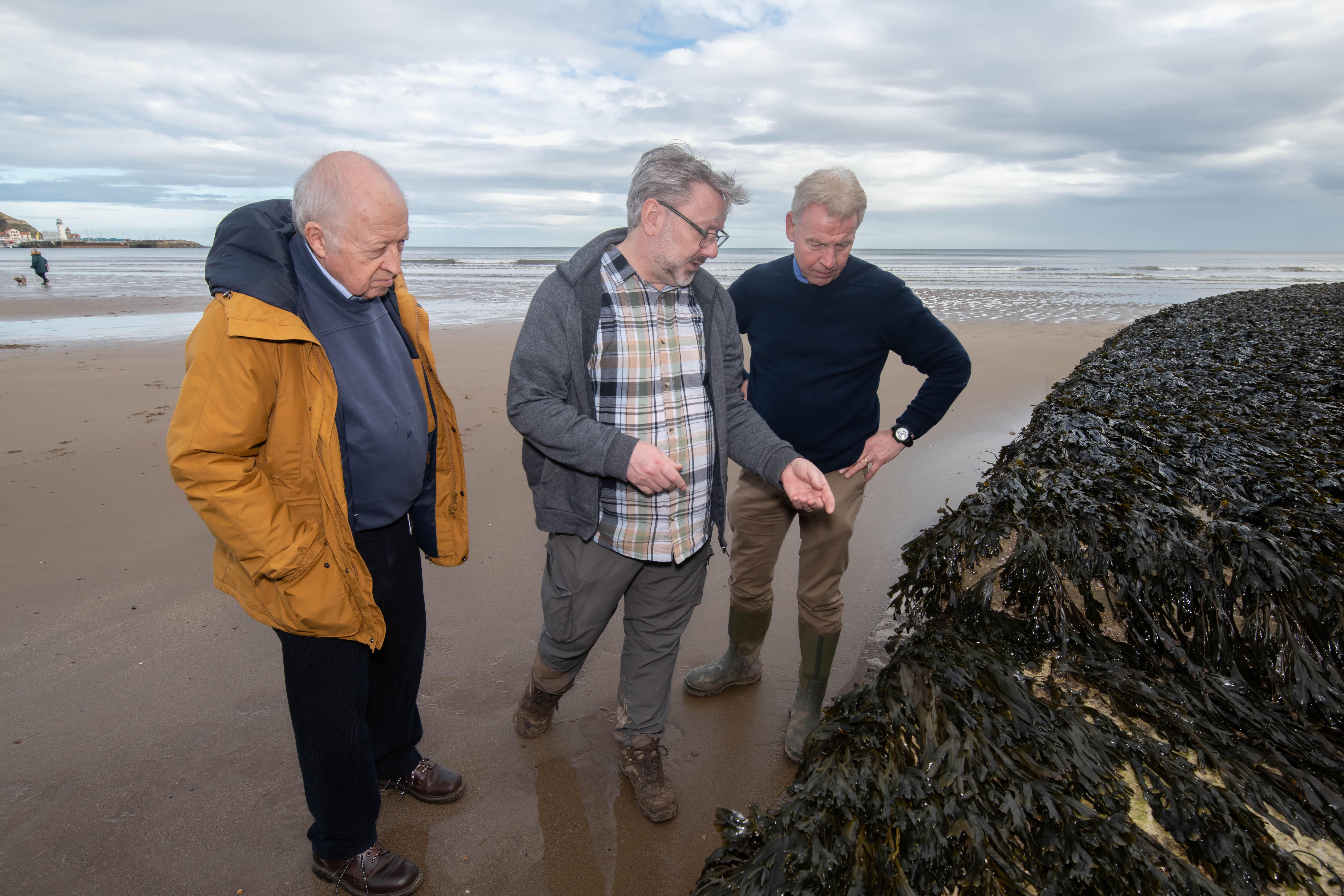 Seaweed sampling in Scarborough South Bay