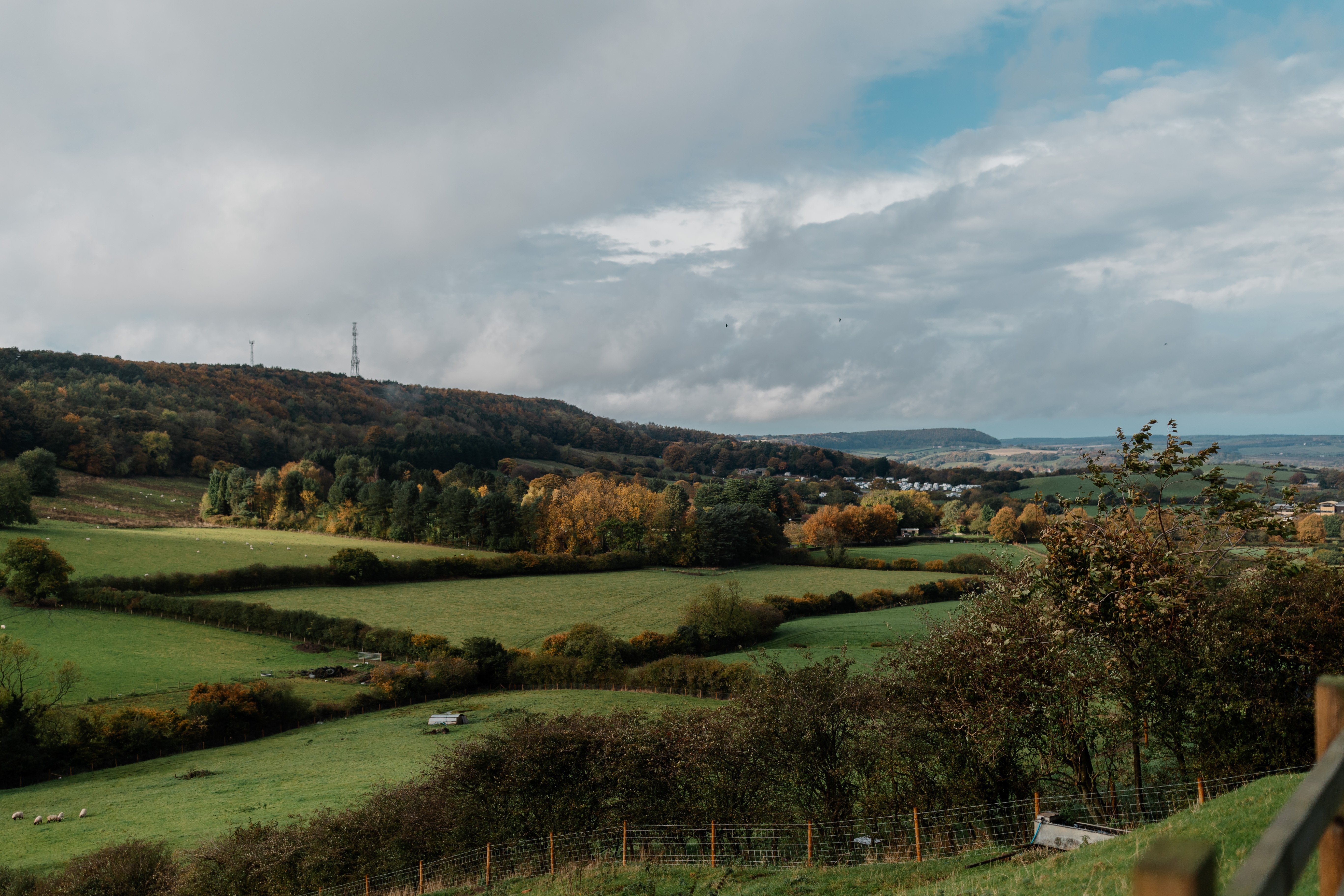 Rolling fields near Stepney Hill Farm