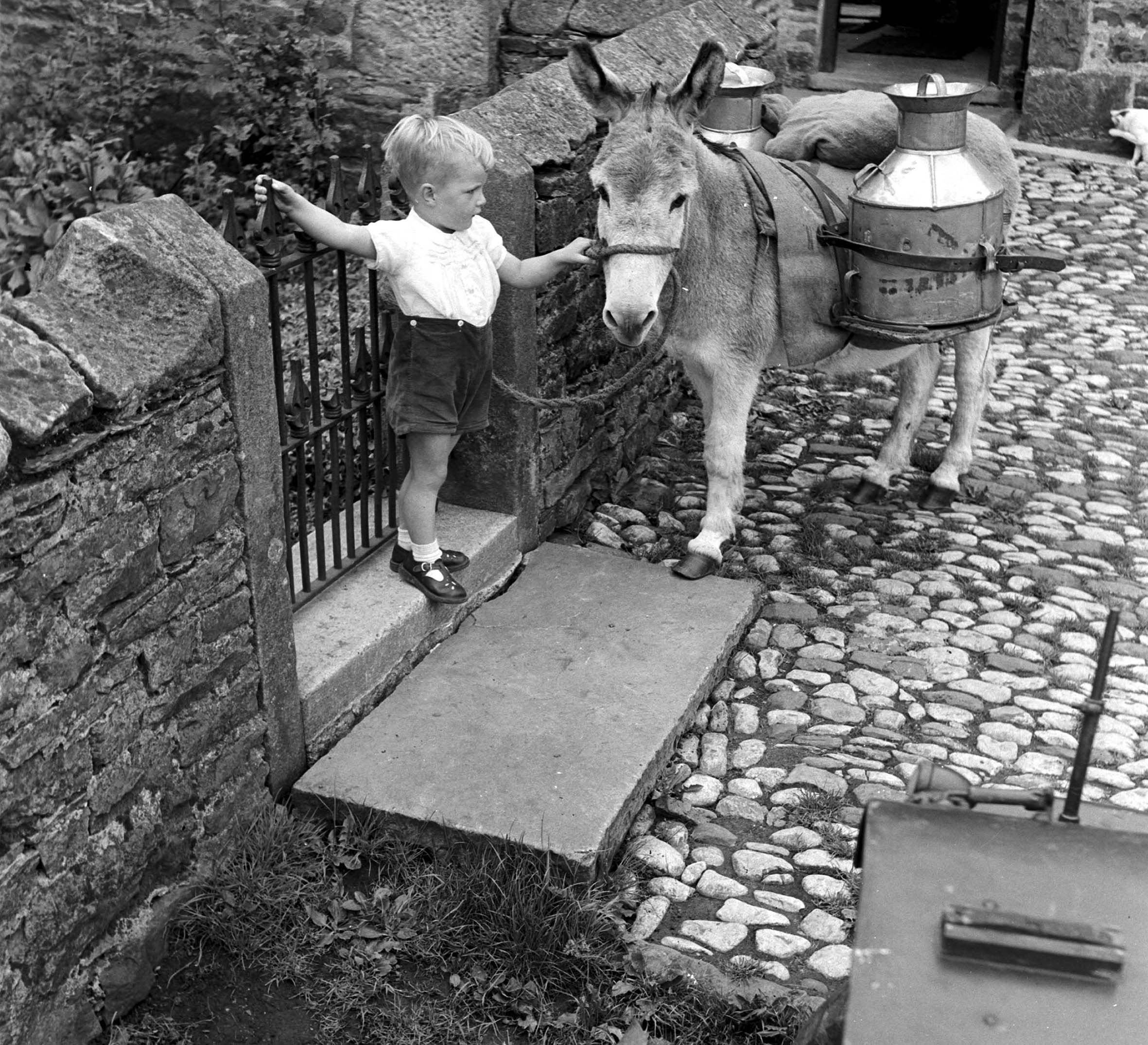 Milk delivery in and around Castle Bolton in Wensleydale! This valuable service was provided by Walter Bostock & Jimmy the donkey in the 1950s and 60s! From the Bertram Unné photographic collection.