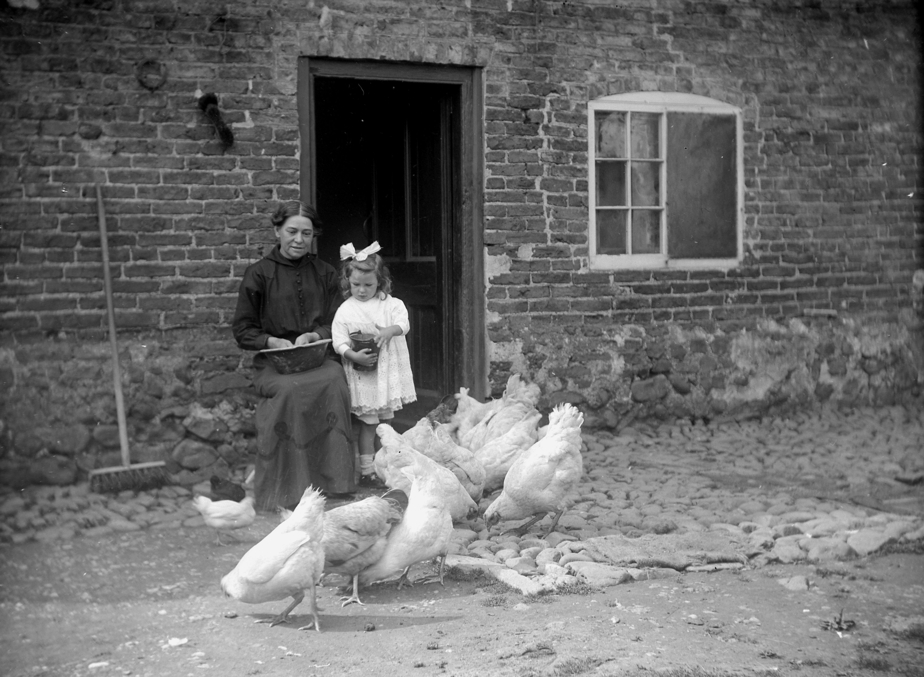 Feeding hens at the back door (1917). From a collection of photographs of the Dunsforth area by local amateur photographer Louisa Kruckenberg.