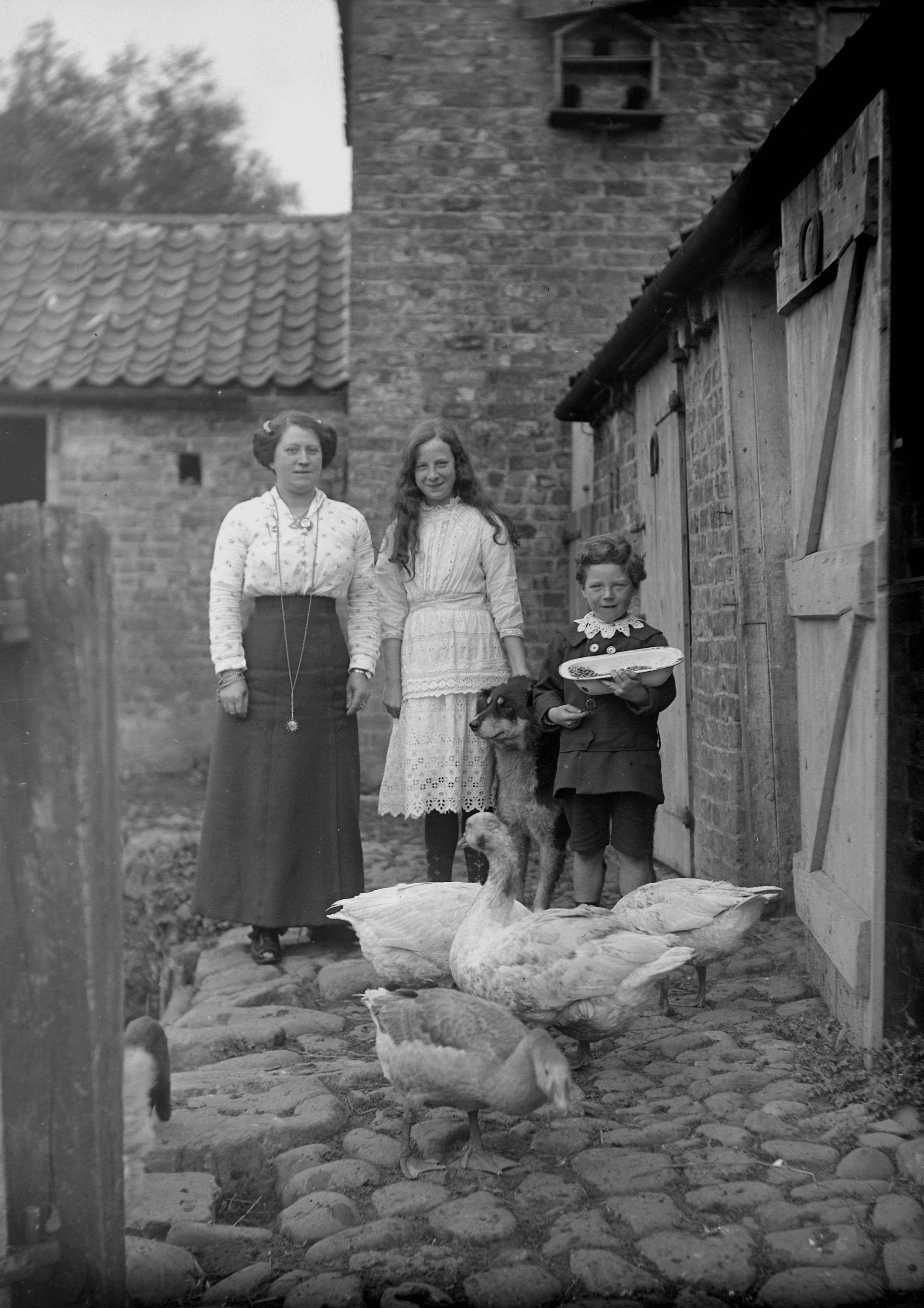 Mrs Vollans and children with farmyard ducks (1915). From a collection of photographs of the Dunsforth area by local amateur photographer Louisa Kruckenberg.