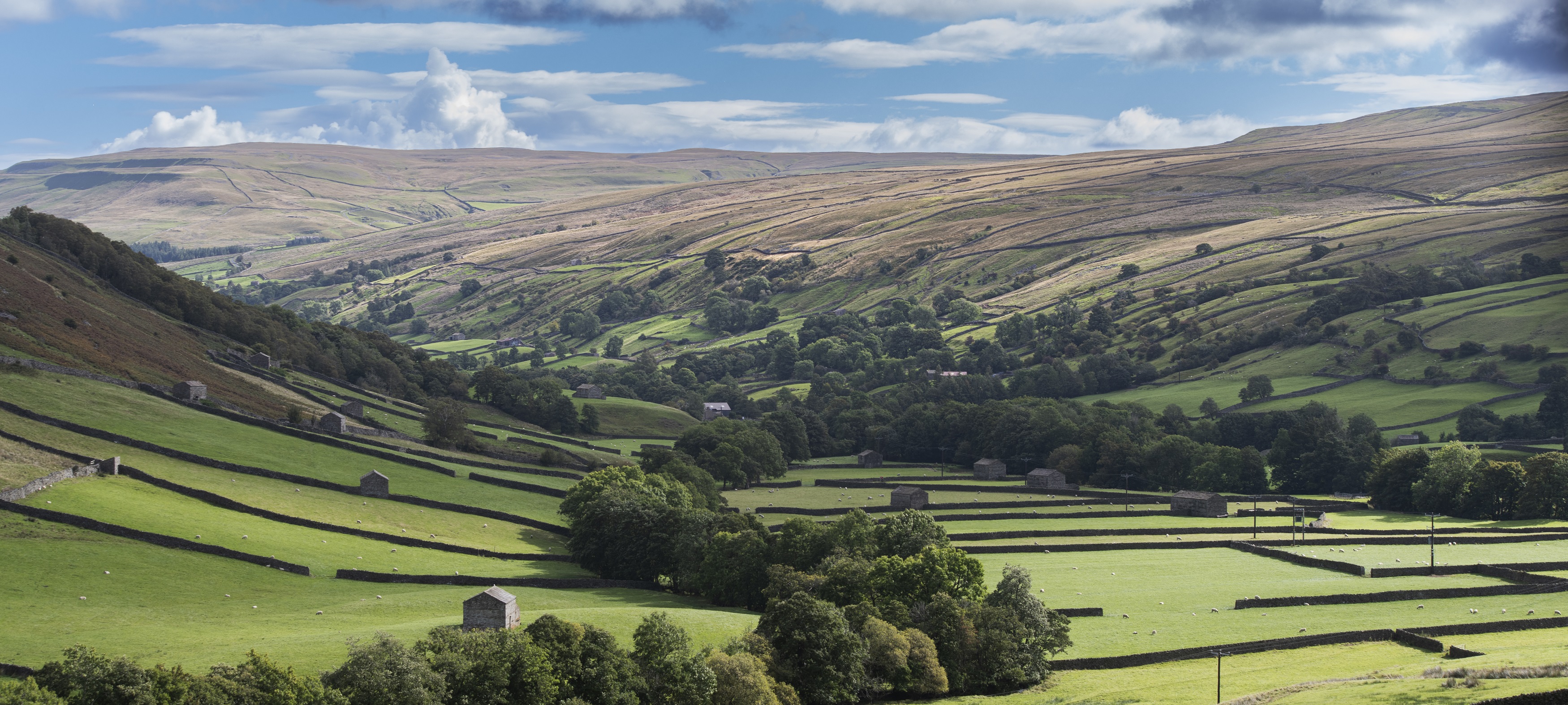 Scenic view of Swaledale