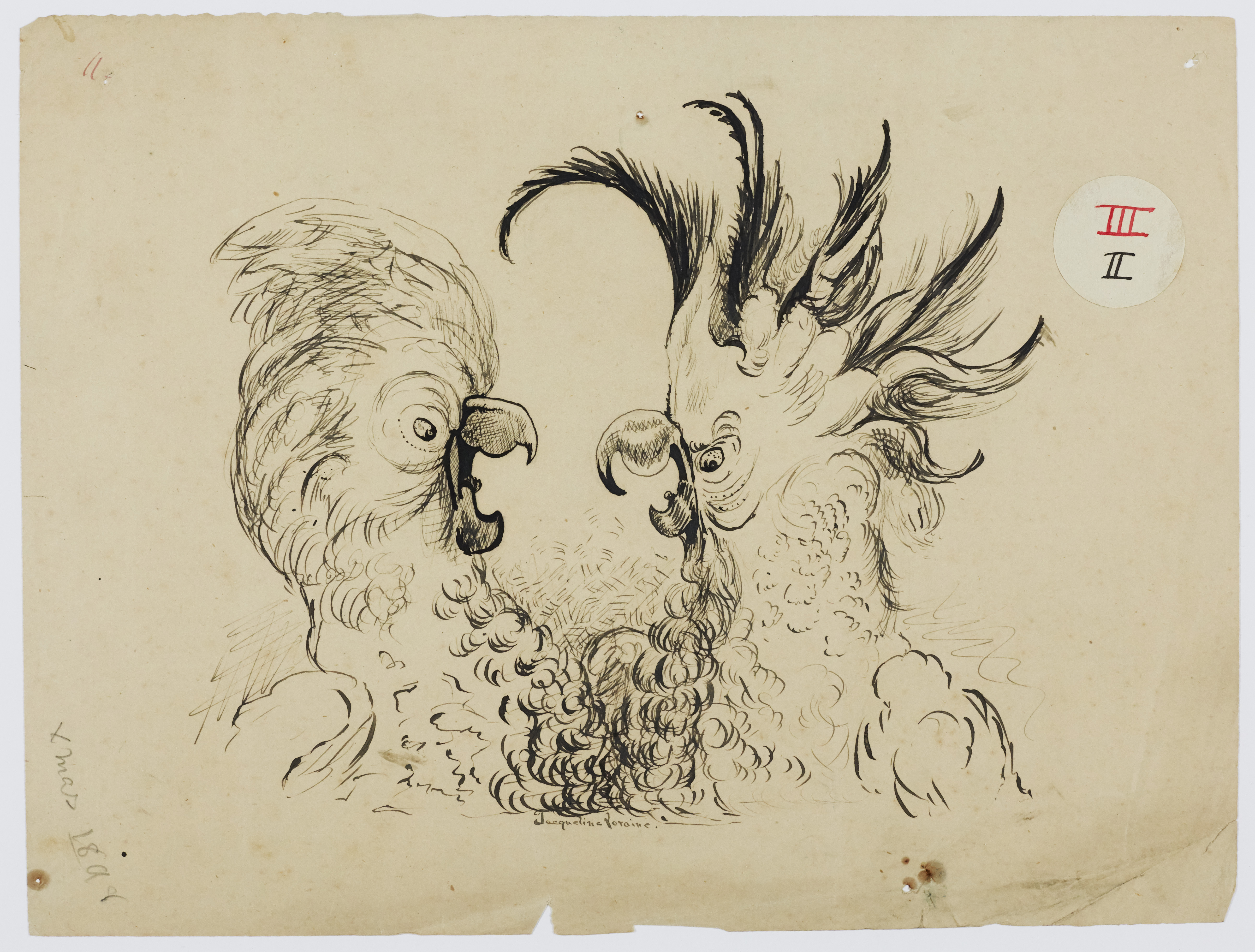 Drawing of two Cockatoos (1898). From the Kiplin Hall archive.