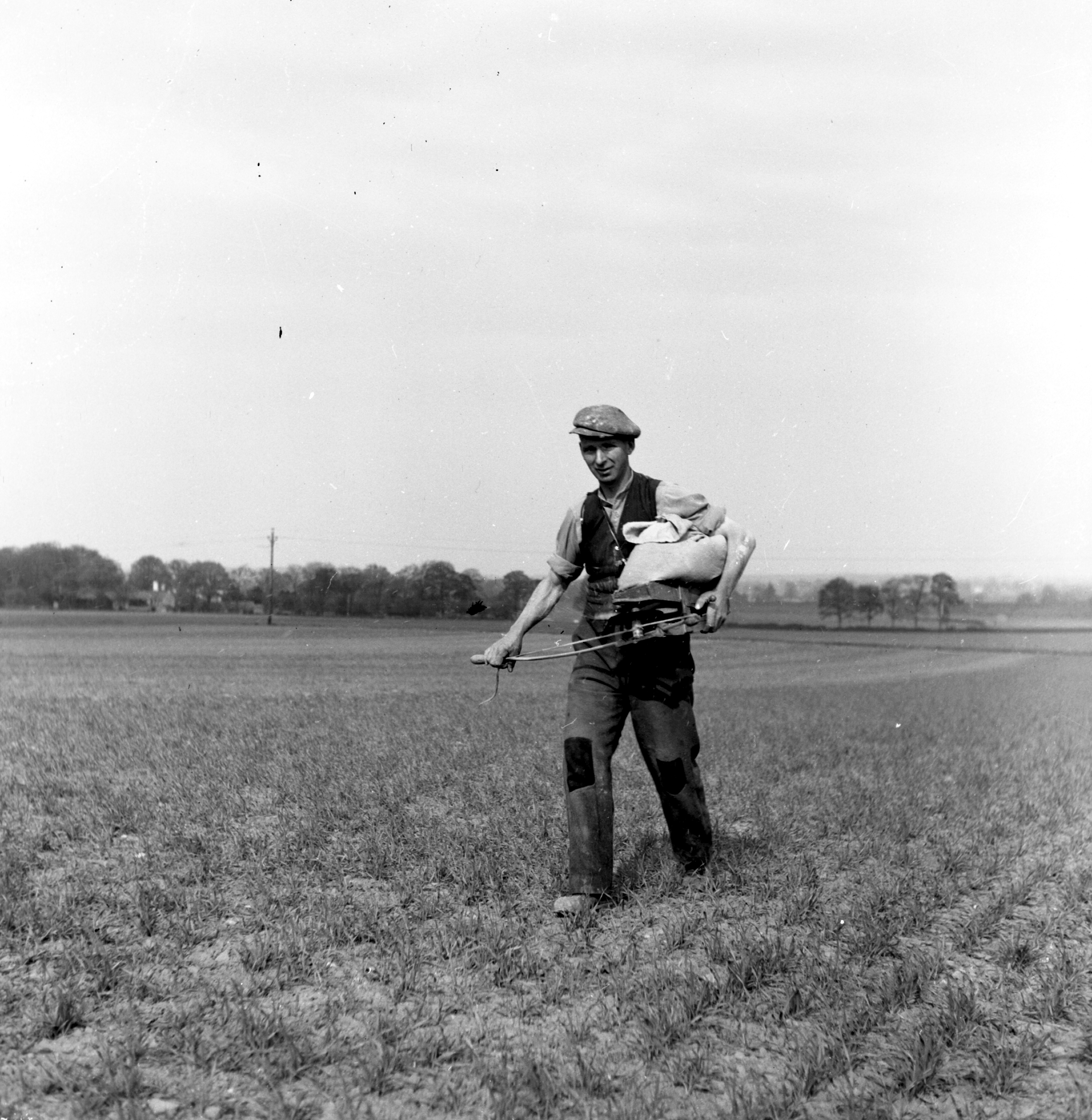 Black and white photo of a Fiddle drill sowing  (mid-20th-century). From the Bertram Unné photographic collection.