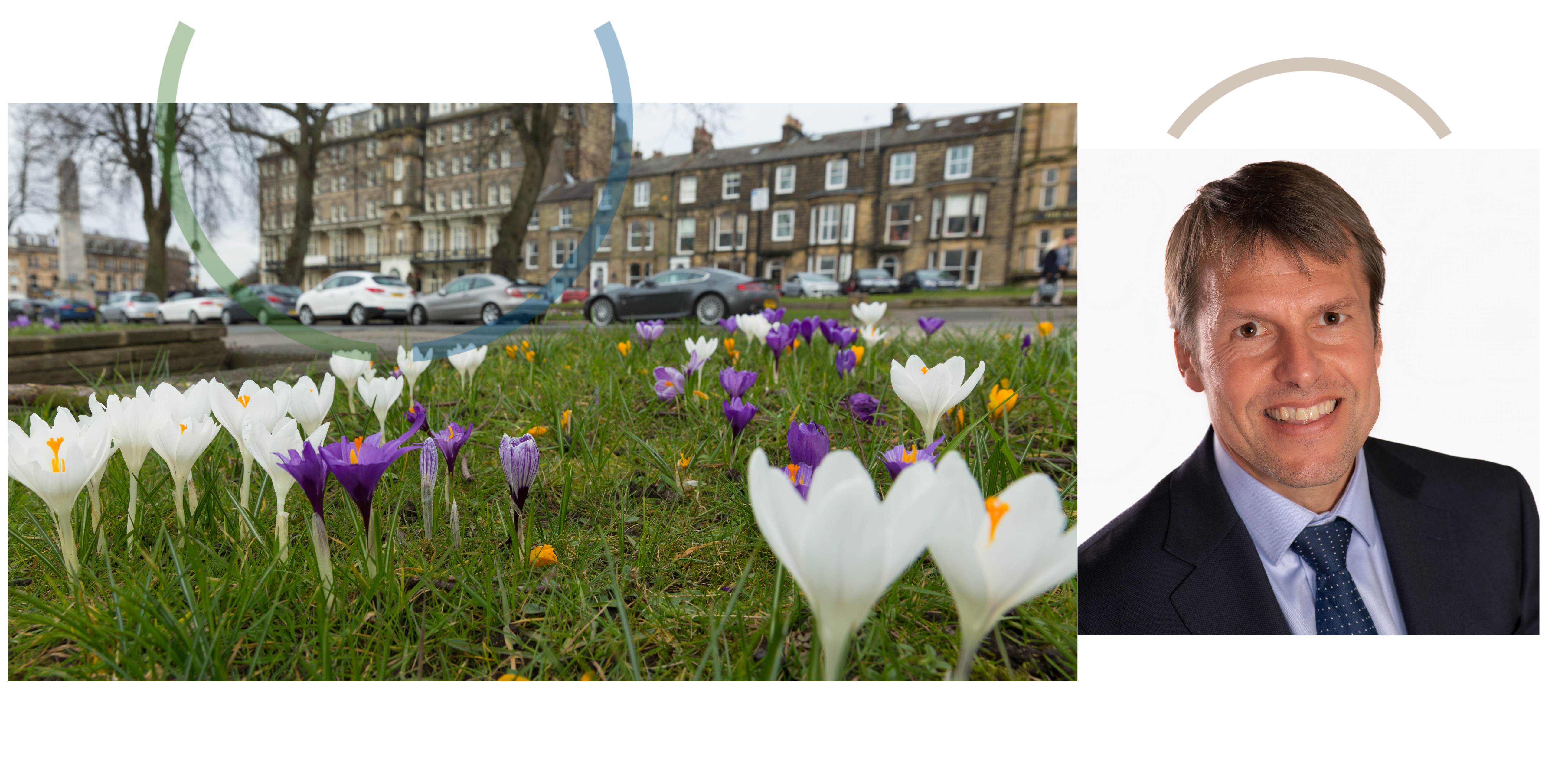 Grassed area with white and purple flowers growing and alongside a photo of Nic Harne