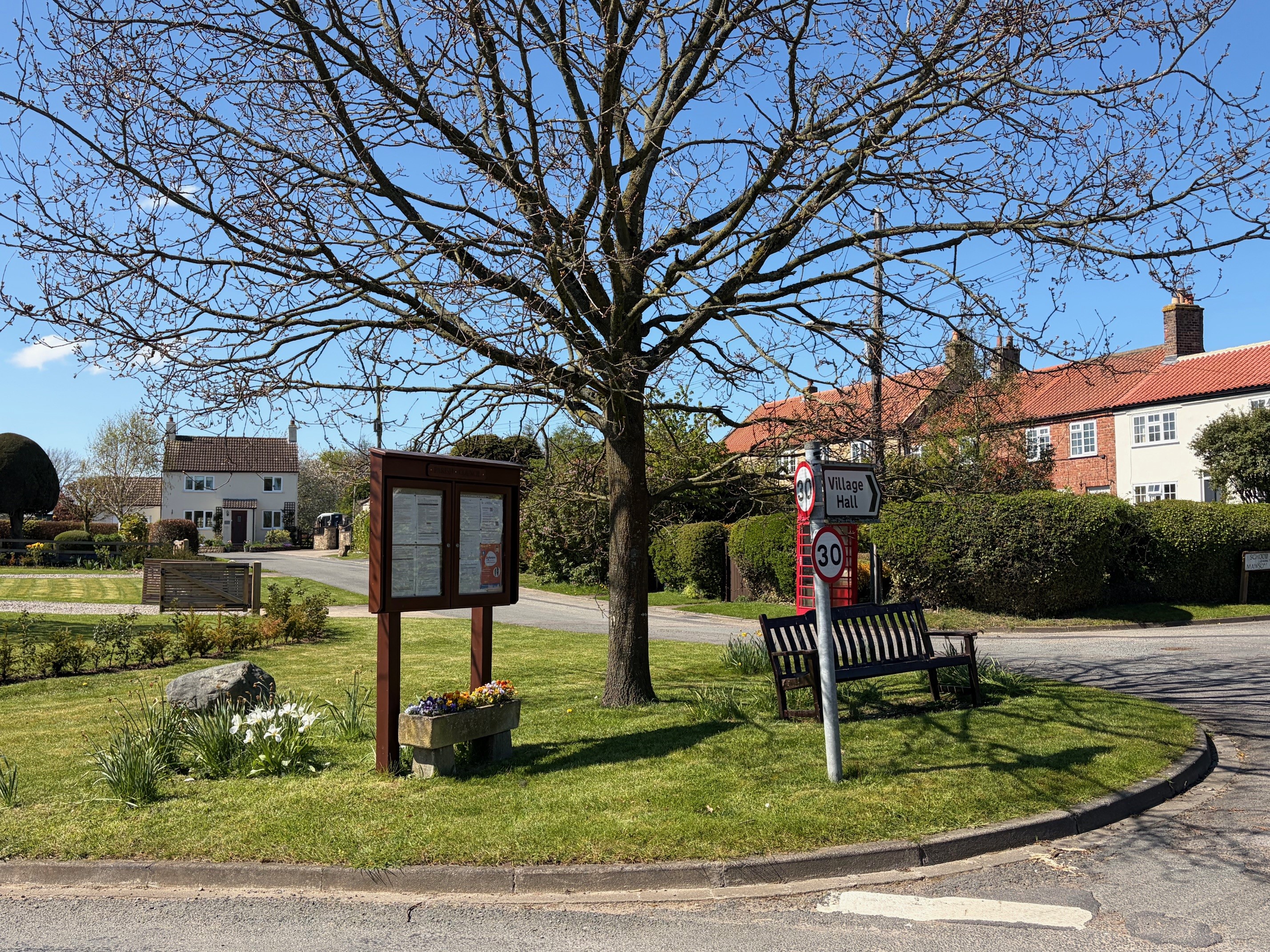 A view of a tree in Thornton le Beans