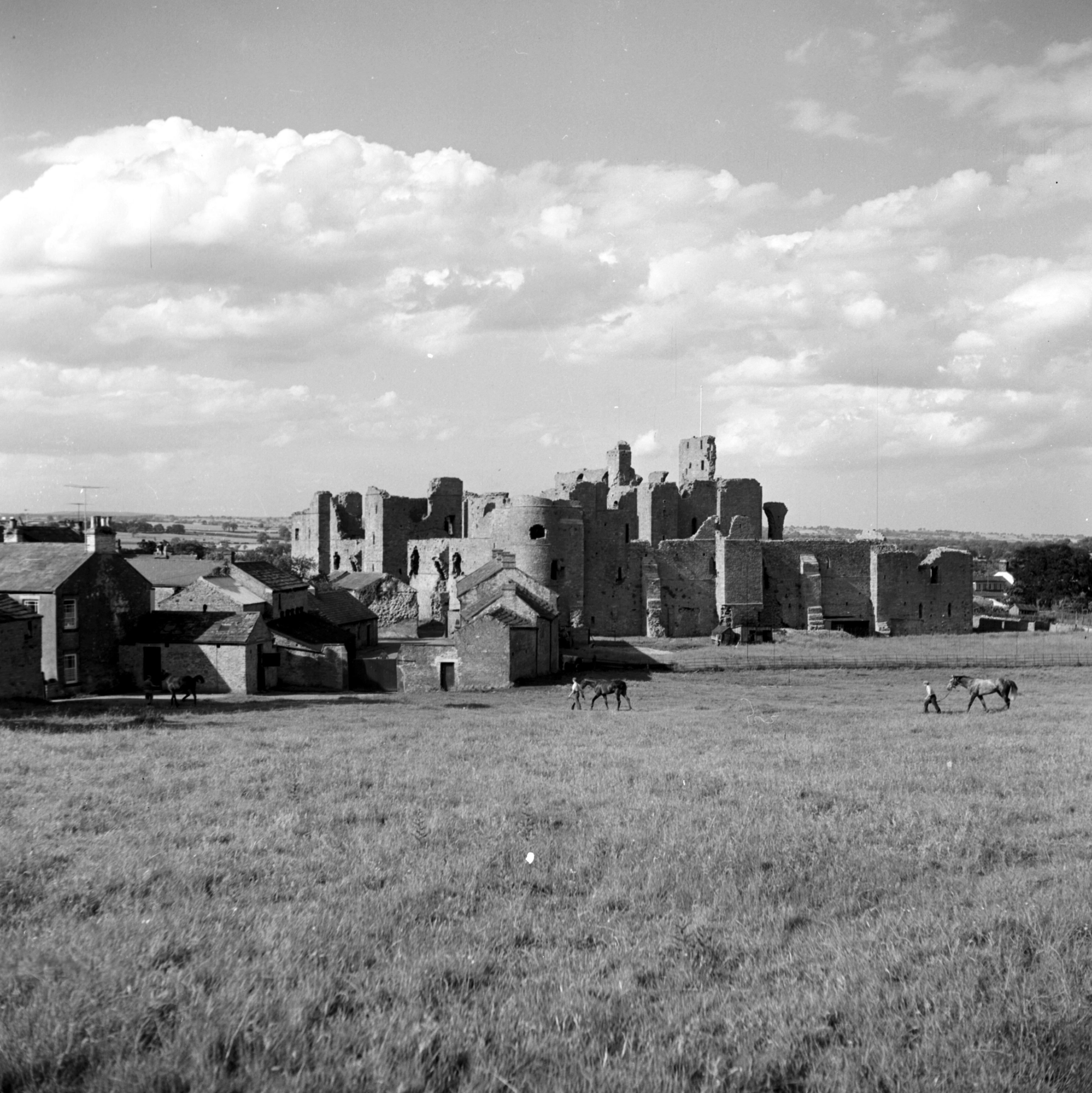 Black and white photo of racehorses at Castle Stables in the horse-training town of Middleham, mid-20th-century. From the Bertram Unné photographic collection.
