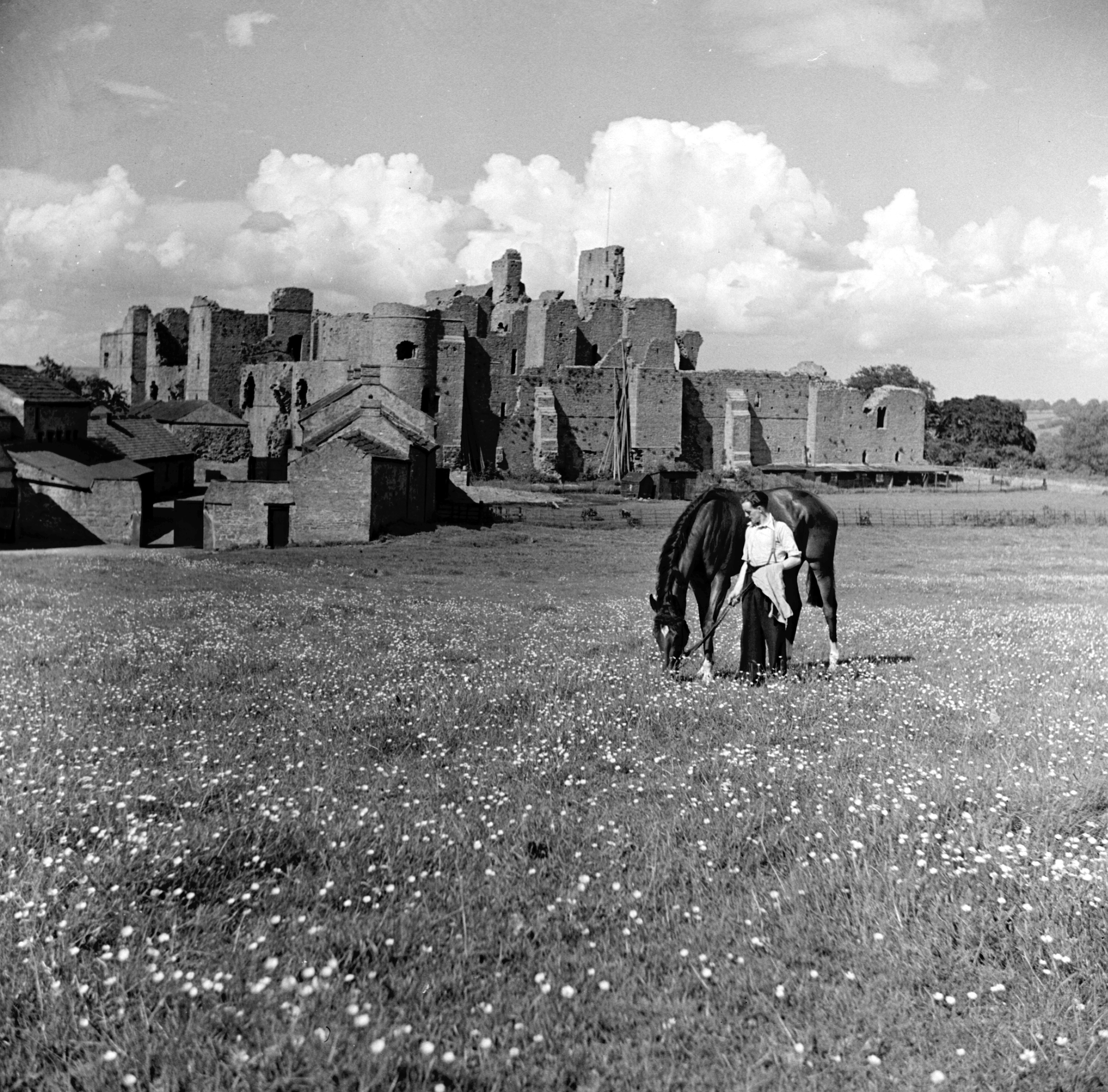 Black and white photo of a racehorse grazing with a handler in the meadow above Middleham Castle, mid-20th-century. From the Bertram Unné photographic collection.