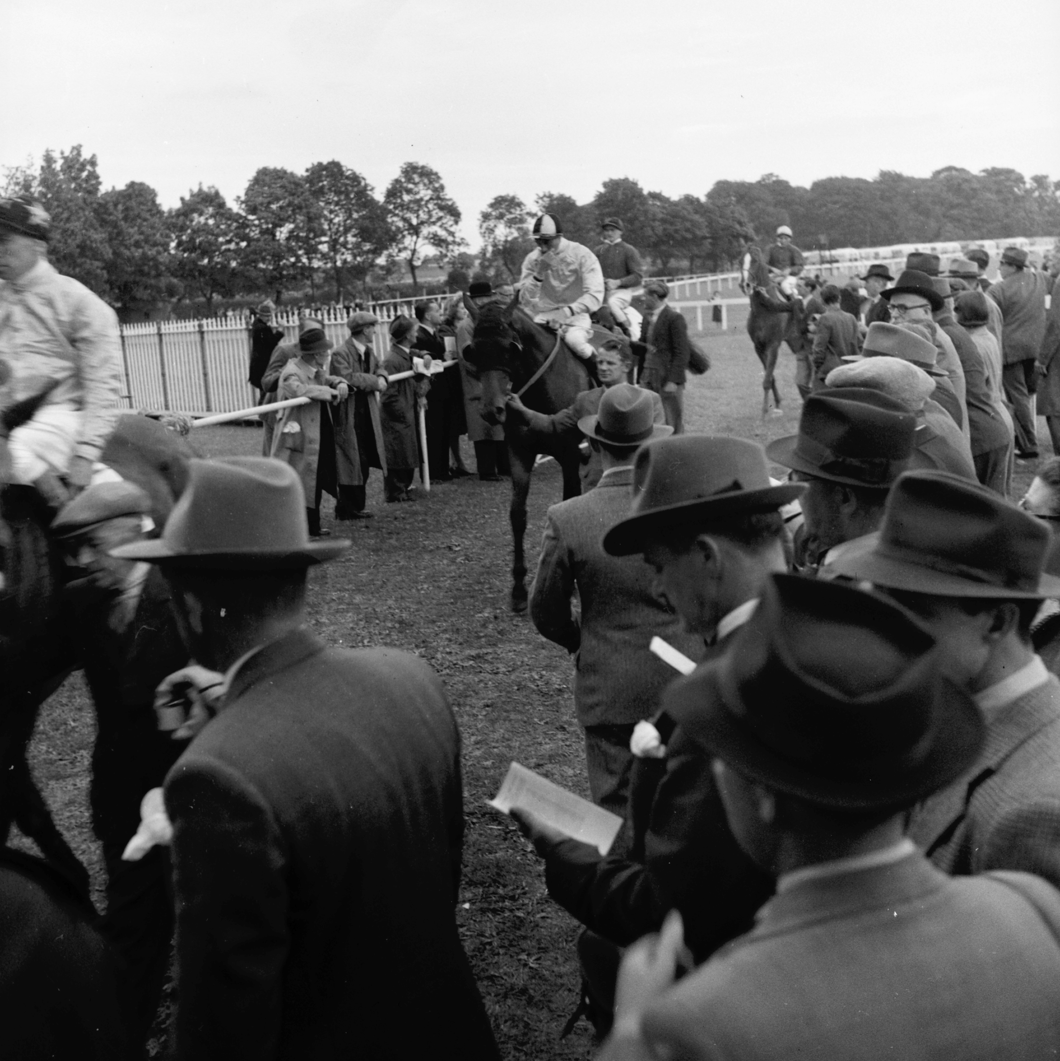 Black and white photo of crowds of people and a few racehorses with their jockeys at Ripon races, 1949. From the Bertram Unné photographic collection.