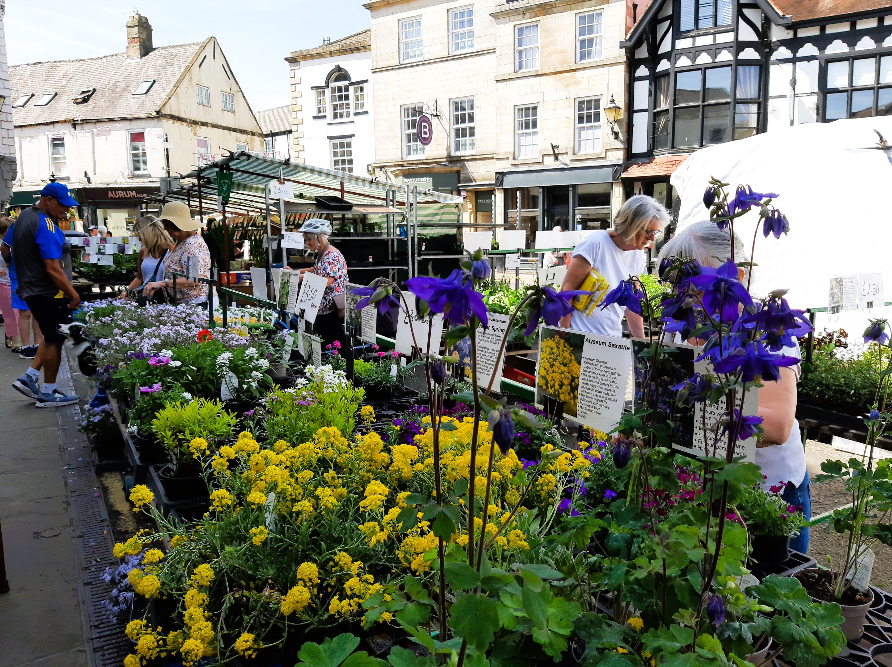 Market plants