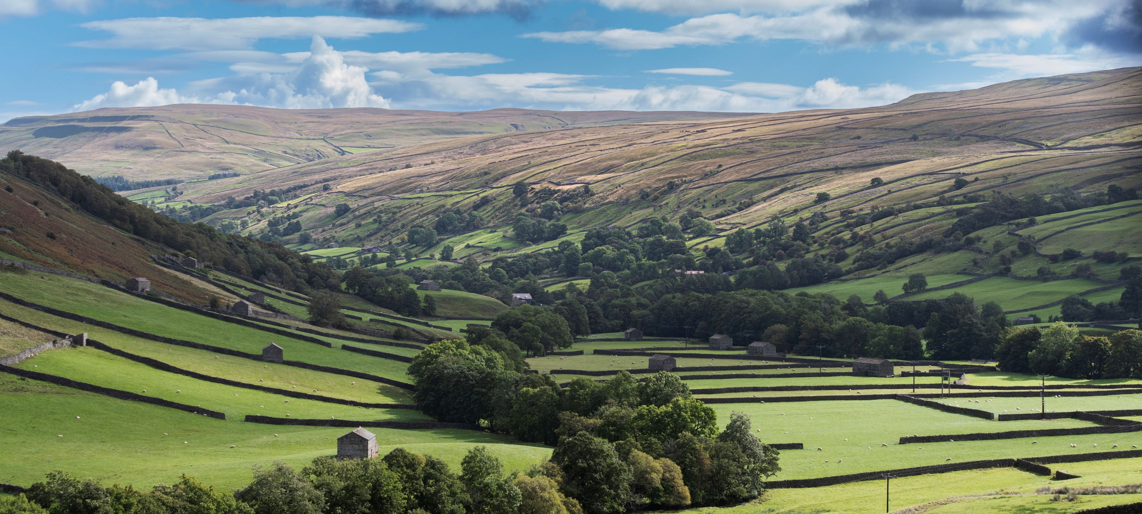 A scenic view of Swaledale 