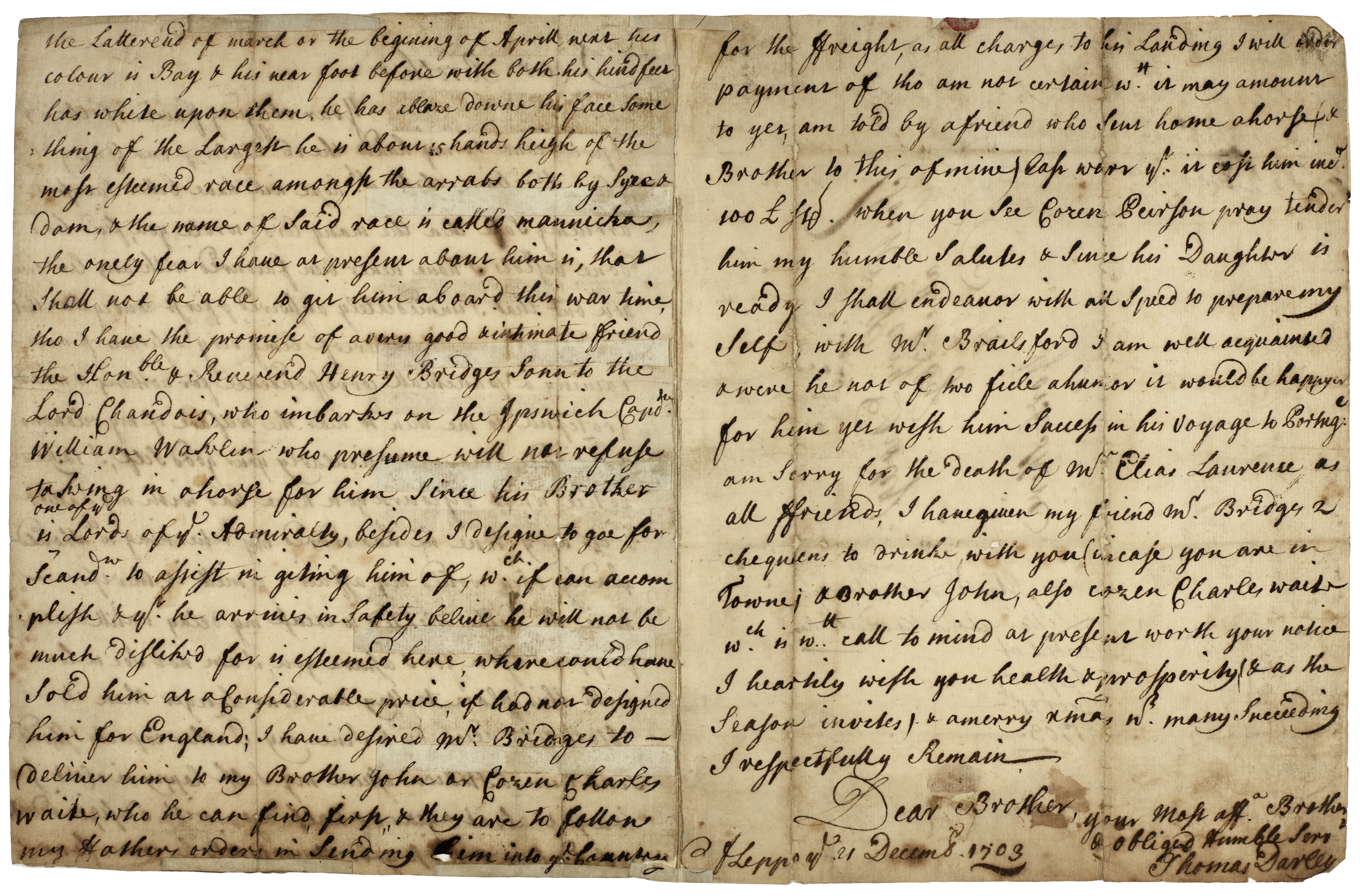 Letter to Henry Darley from Thomas Darley of Aleppo, about the Darley Arabian horse, 21 December 1703. From the Darley of Aldby archive.