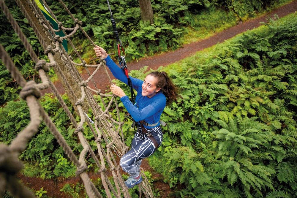 Adult in a harness climbing up a rope ladder in the forest