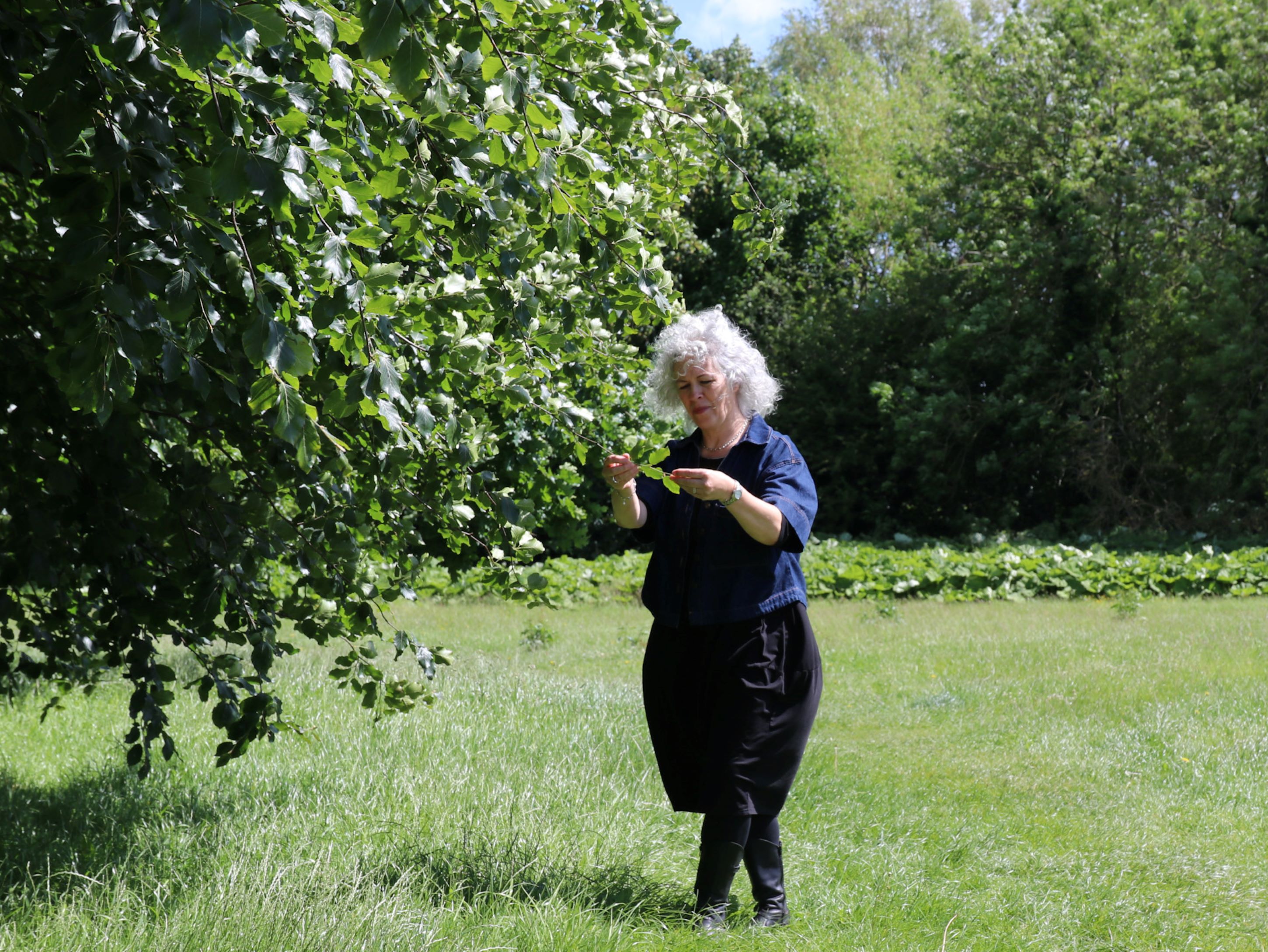 North Yorkshire Council’s tree and woodland manager, Helen Arnold, in an area of public woodland in the village of Masham. 