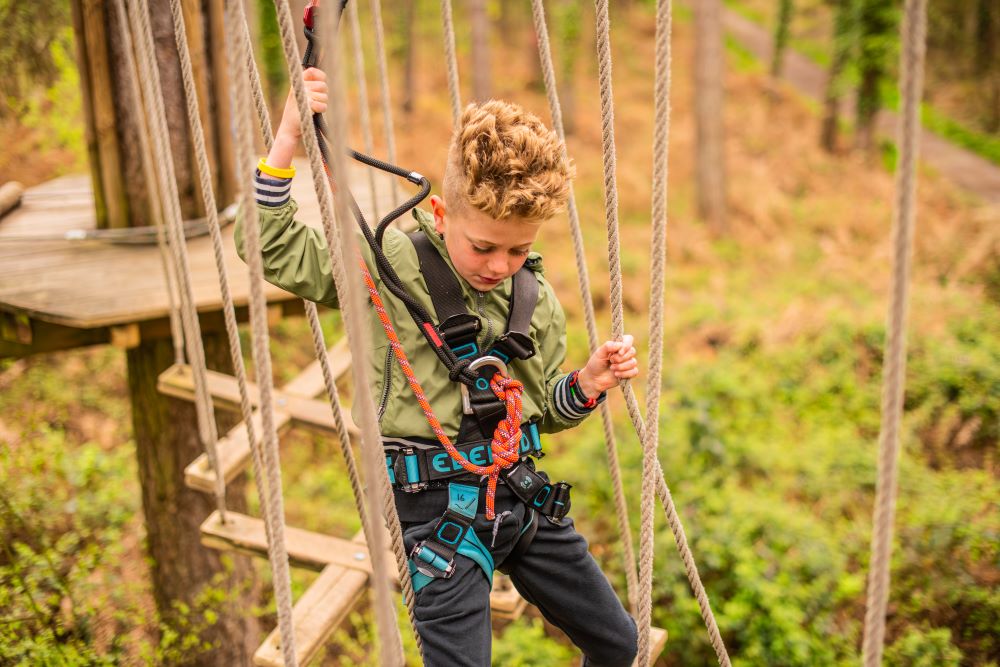 Child in a harness walking along a rope bridge in the forest