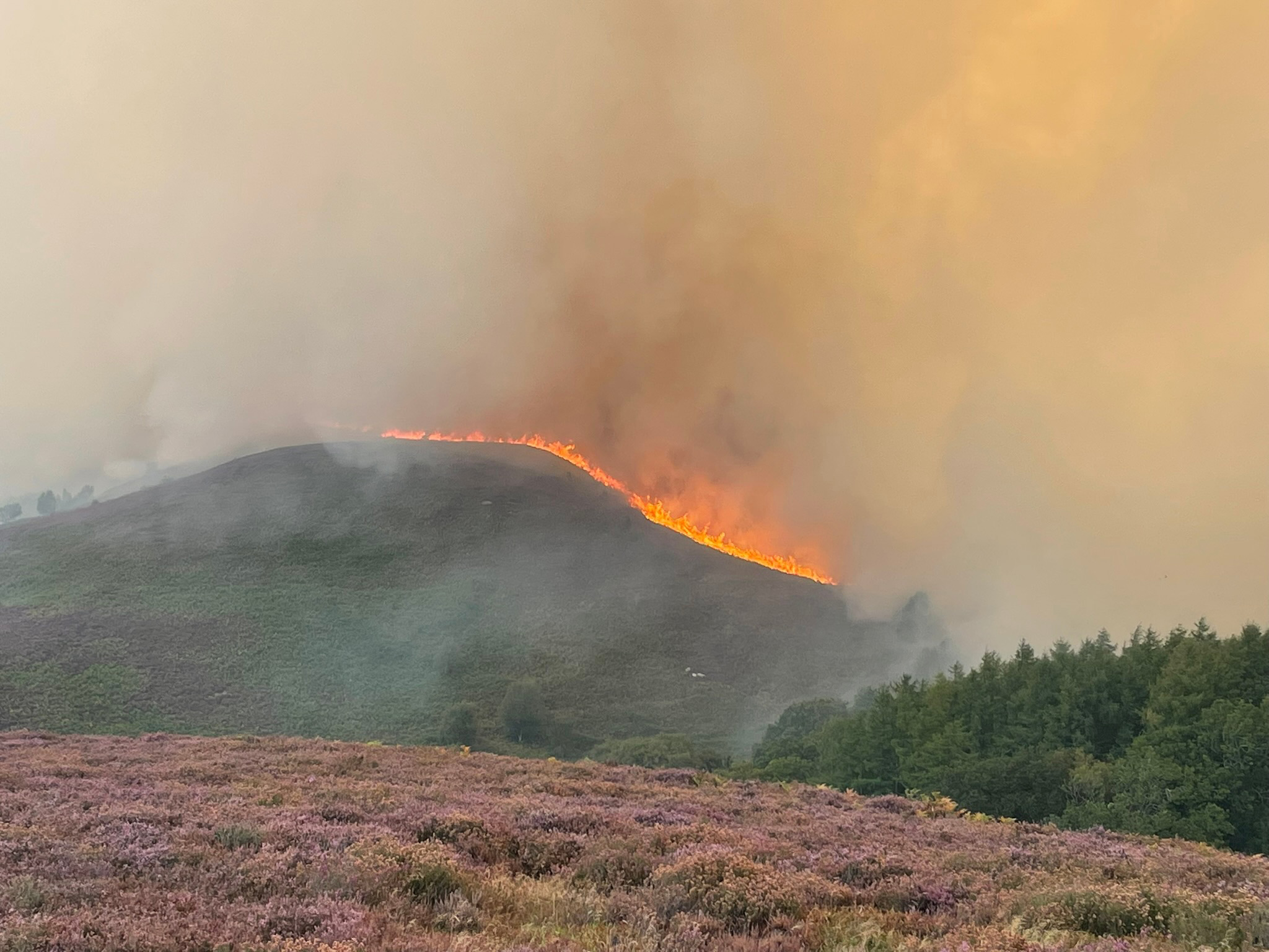 Photo of the wildfire