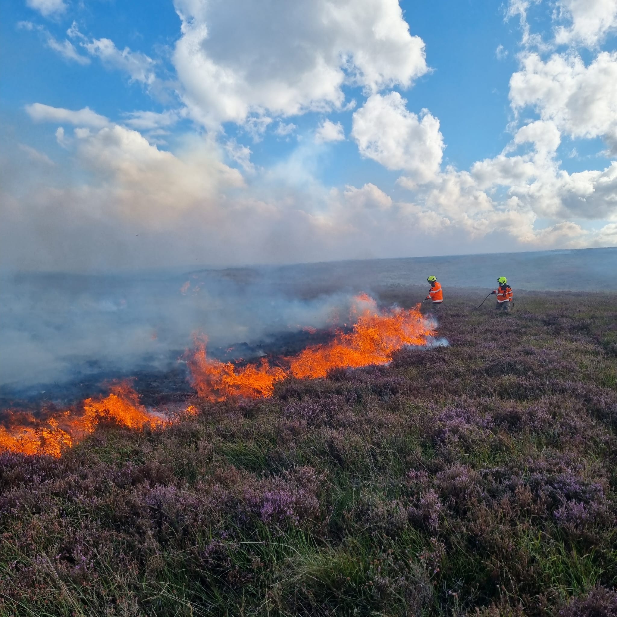An image of firefighters fighting a wildfire. 