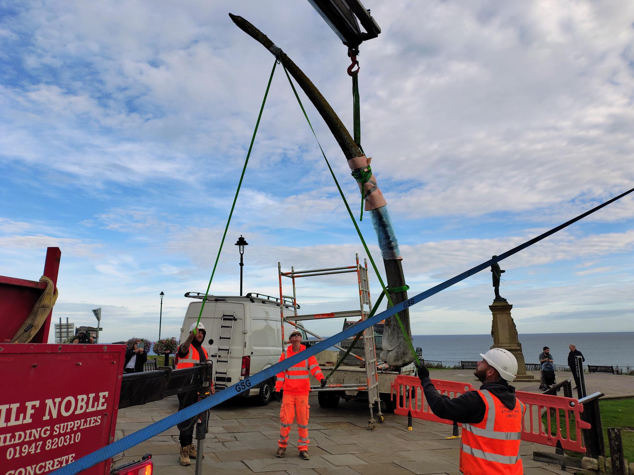 Whitby whale bones being removed