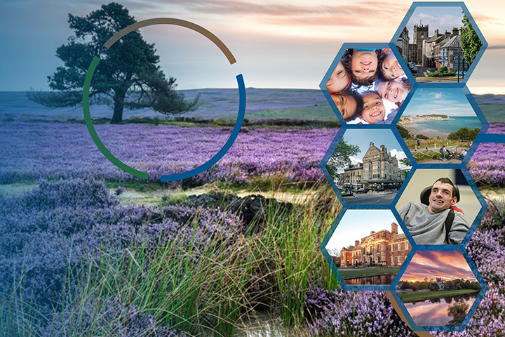 Field of purple flowers with collage of scenes down the right hand side