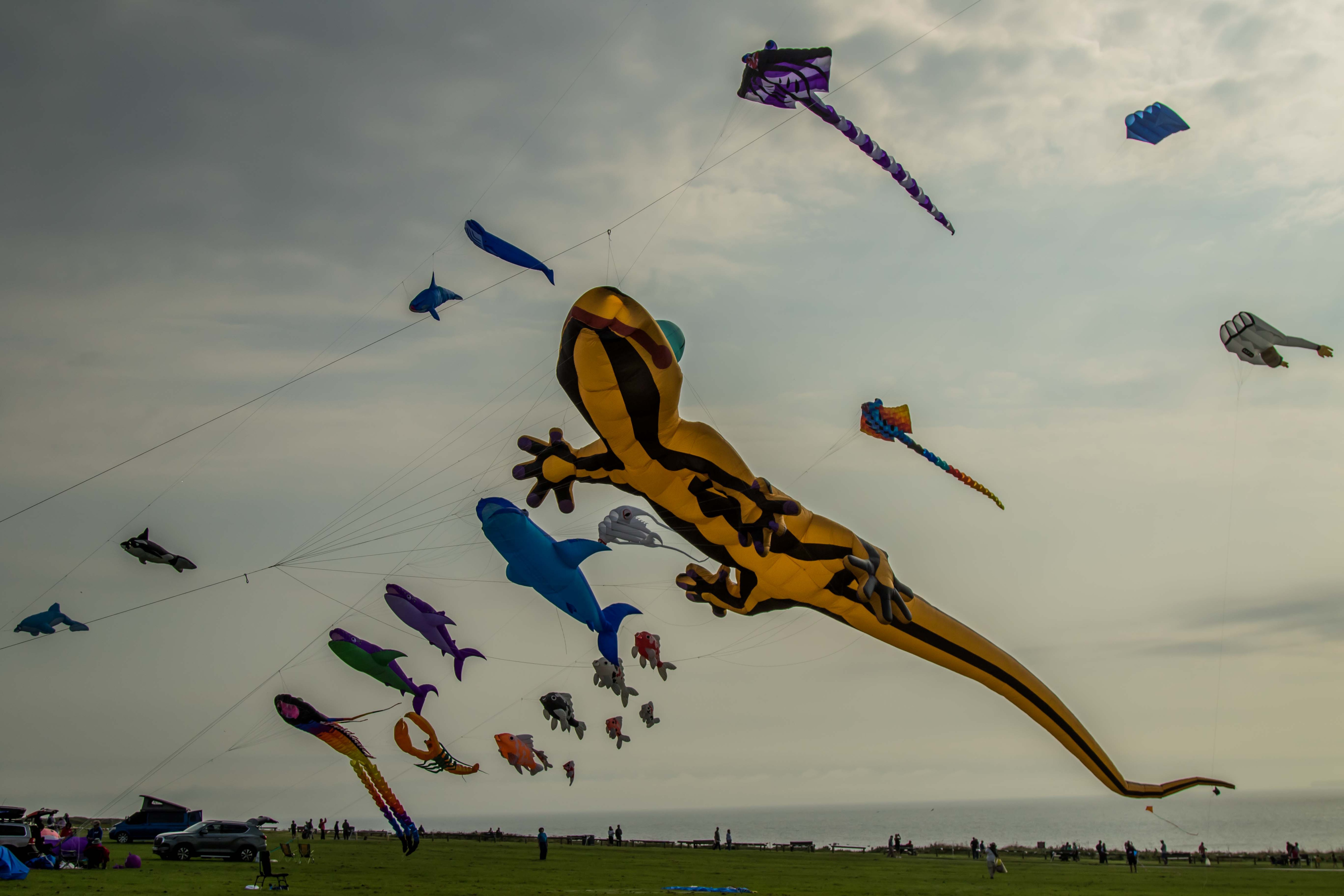 Kites at Filey Kite Festival