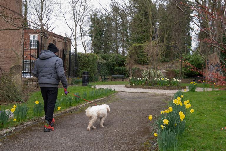 A dog walker passes through Temple Gardens in Ripon which has been overhauled thanks to a community partnership involving North Yorkshire Council.