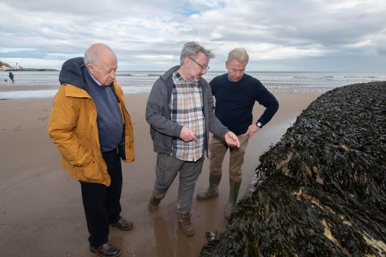 Seaweed sampling in Scarborough South Bay