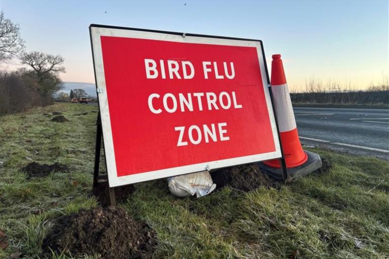 Avian flu sign in North Yorkshire
