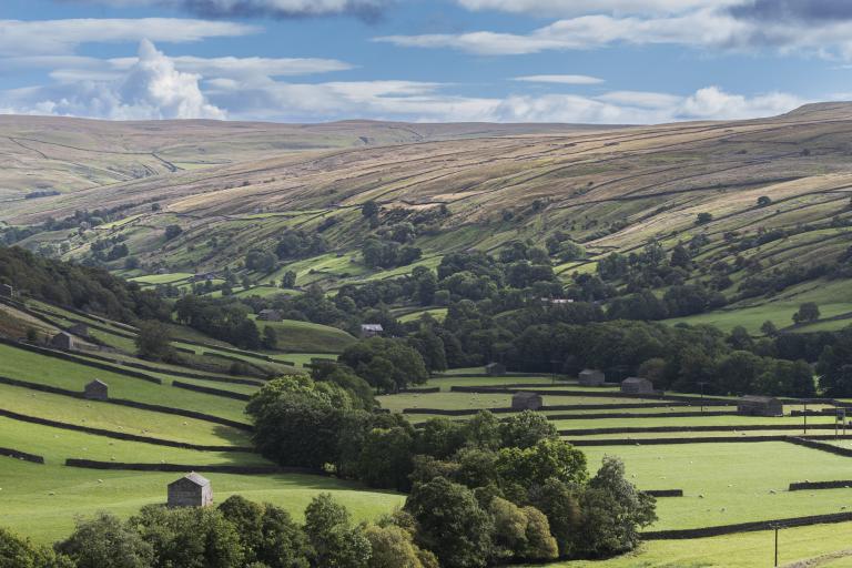 Scenic view of Swaledale